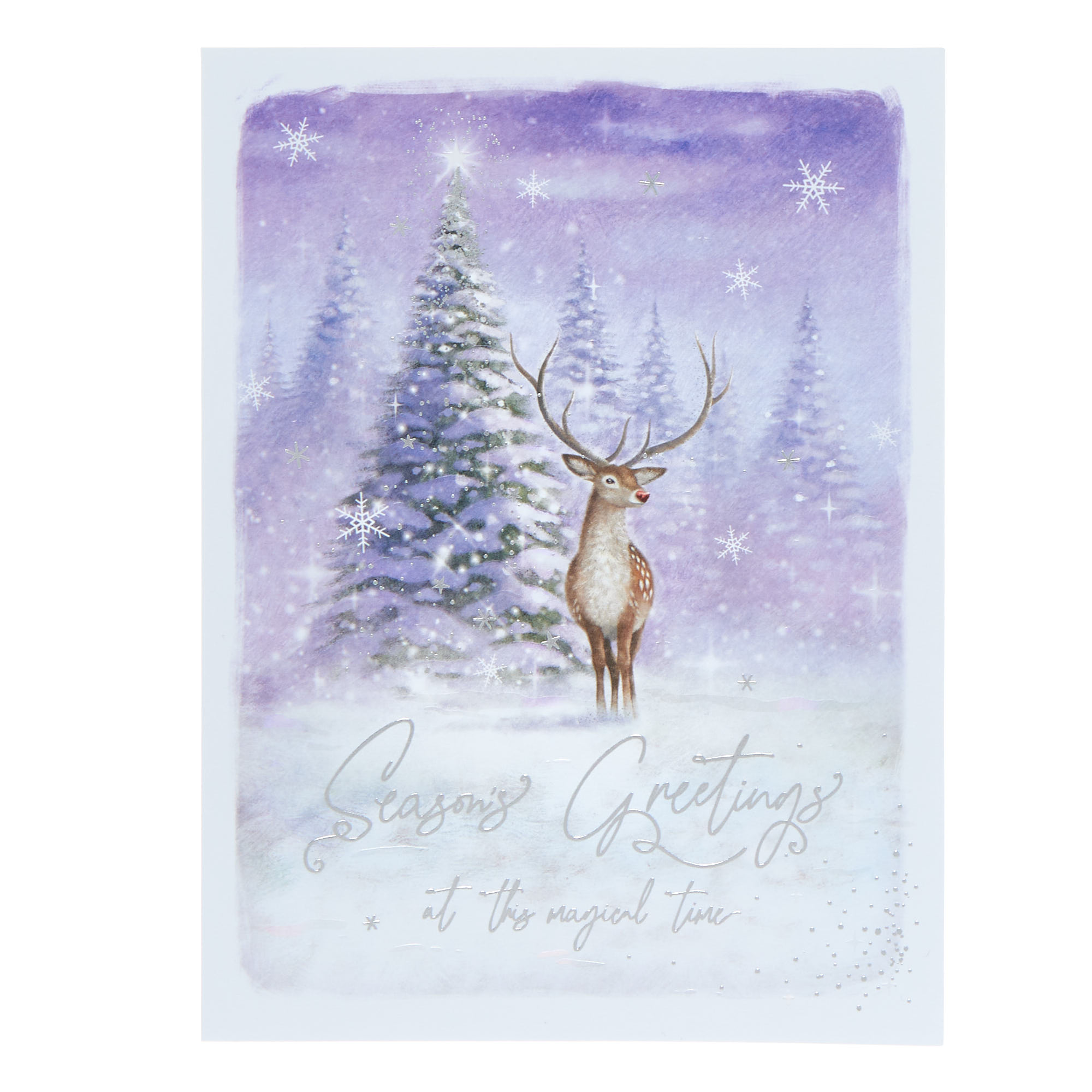 10 Deluxe Boxed Charity Christmas Cards - Robin & Stag (2 Designs)