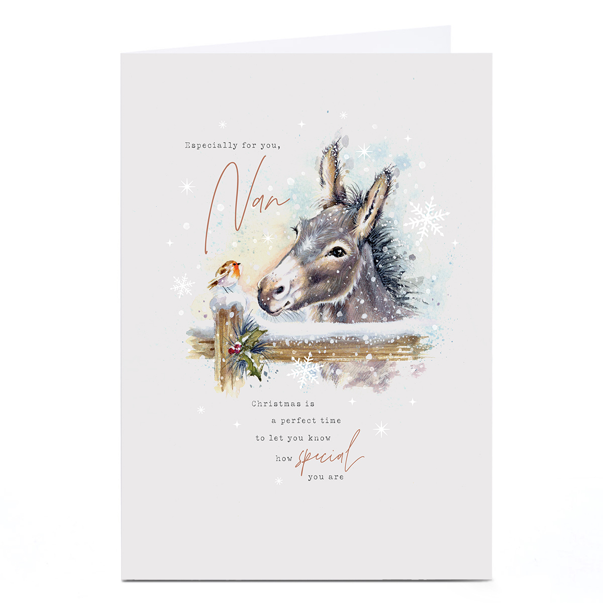 Christmas Card - Snowy Donkey and Robin, Nan