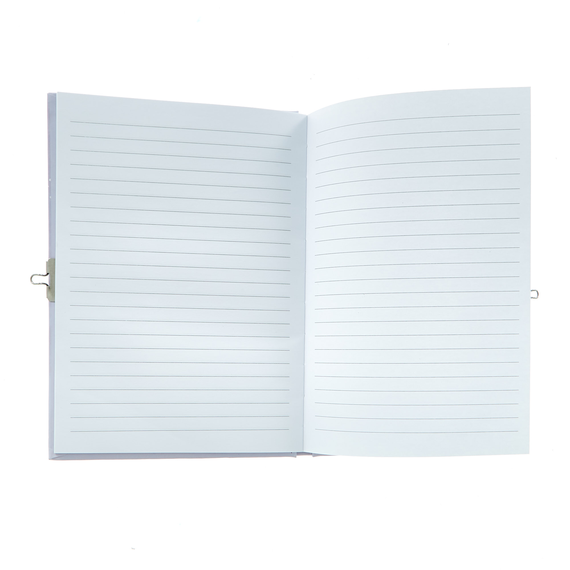 Enchanted Christmas Secret Diary & Pen