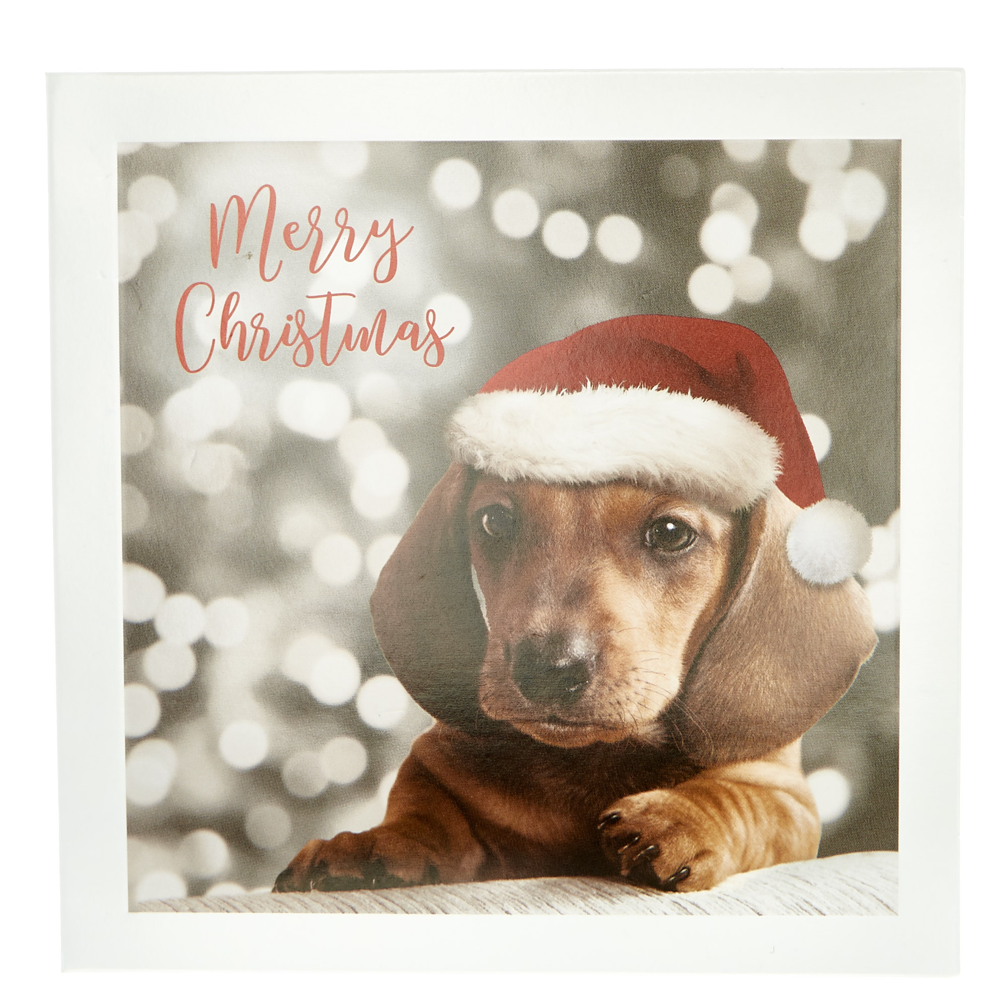 20 Dog-Themed Charity Christmas Cards - 4 Designs 