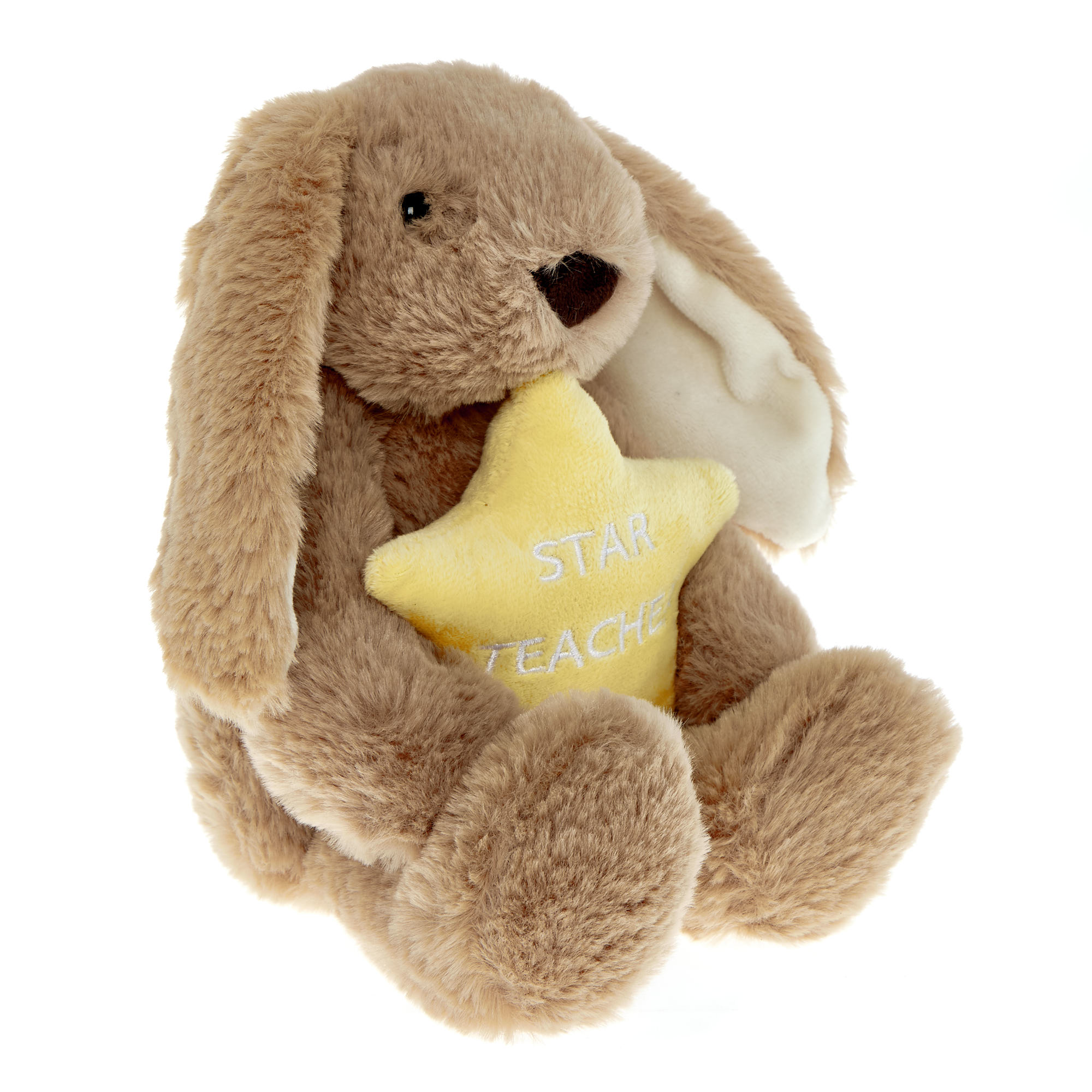 Small Star Teacher Bunny Soft Toy