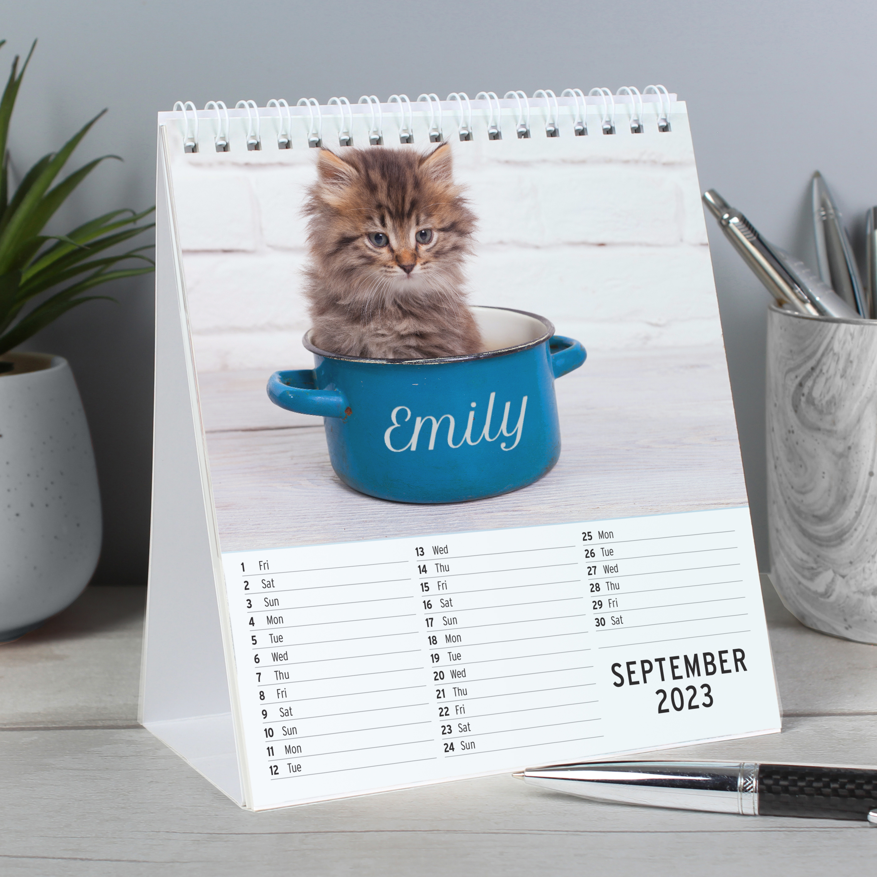 Personalised Cats & Kittens Desk Calendar