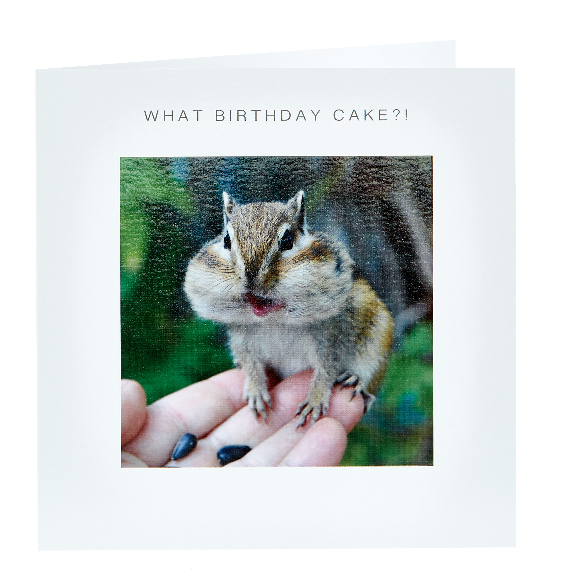 Birthday Card - What Cake, Chipmunk