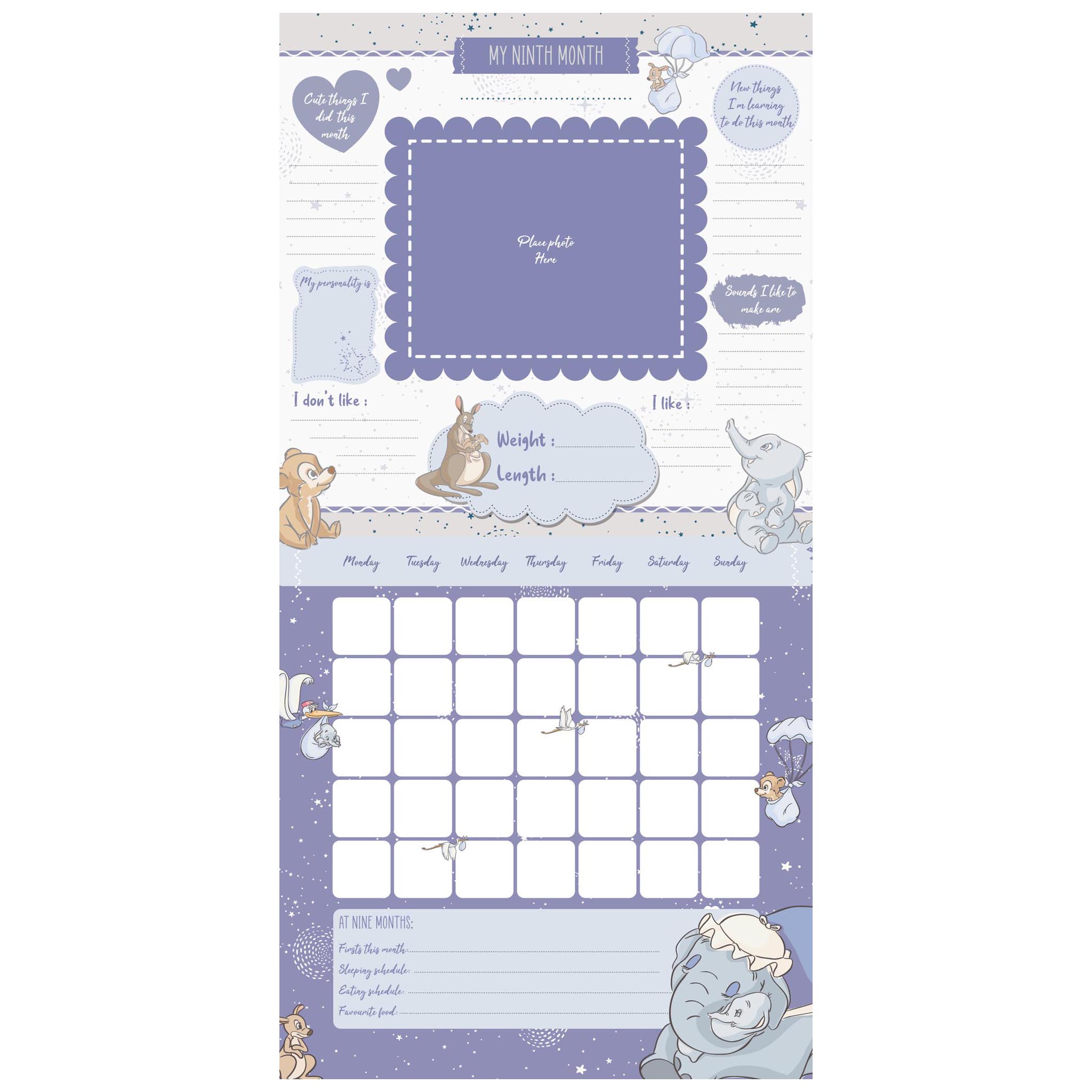 Disney Classic Baby's First Year Keepsake Calendar