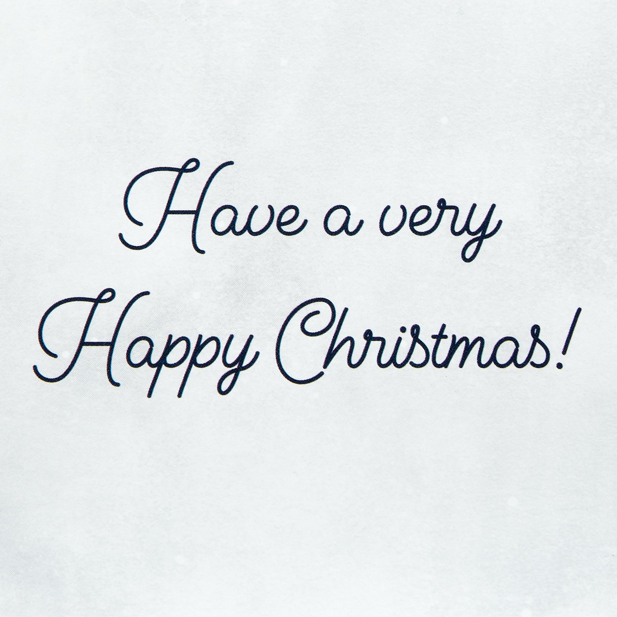 Platinum Collection Christmas Card - To All The Family Sleigh