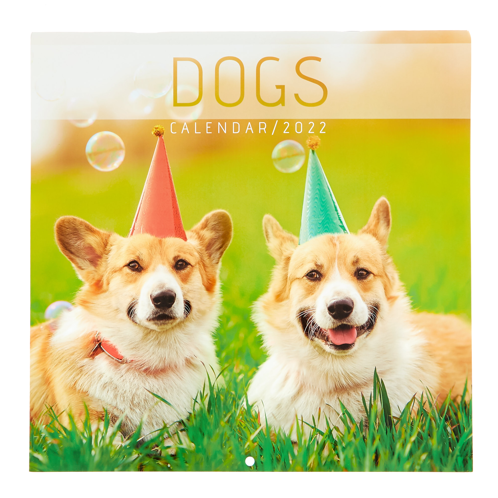 Square 2022 Dog Calendar 