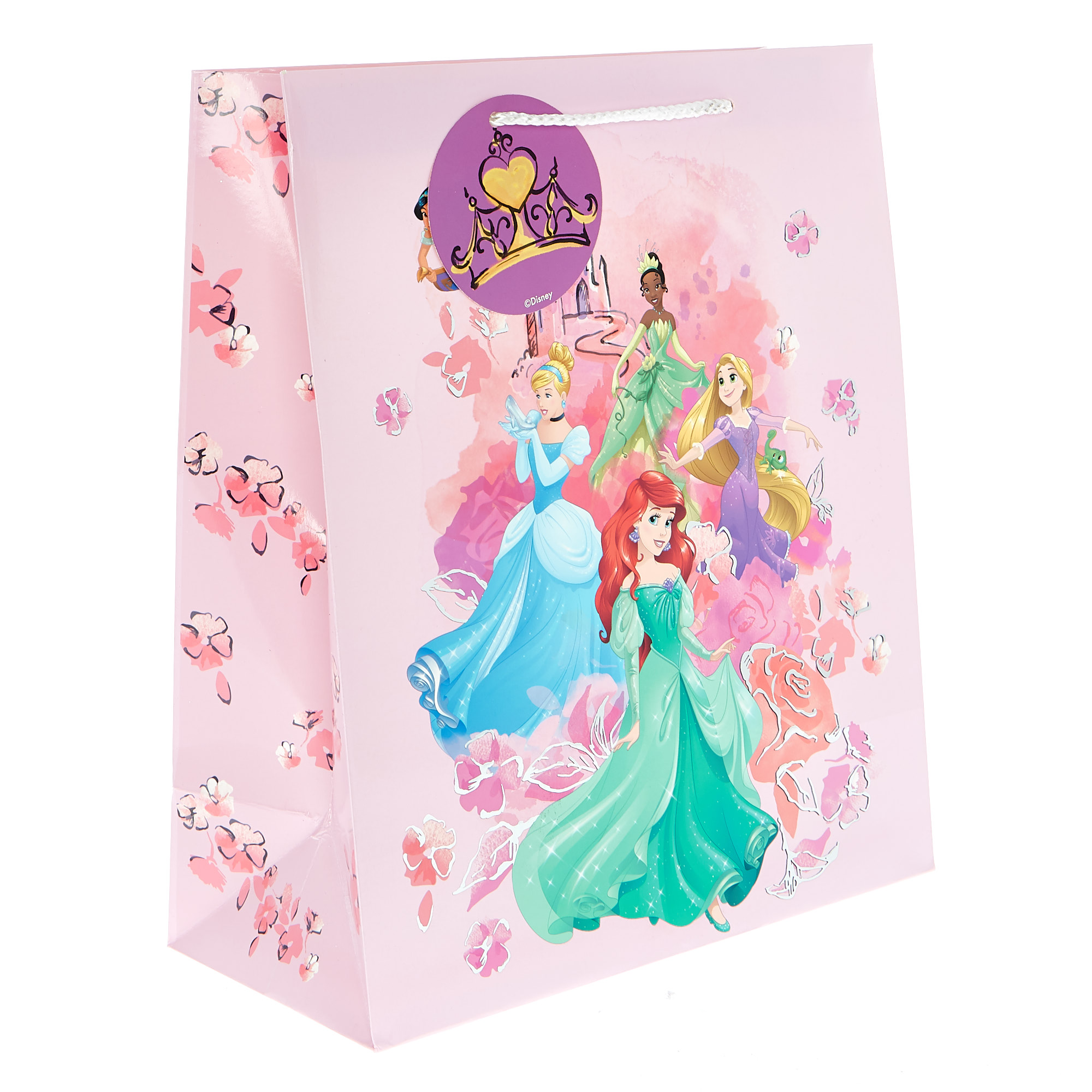 Large Portrait Disney Princesses Gift Bag
