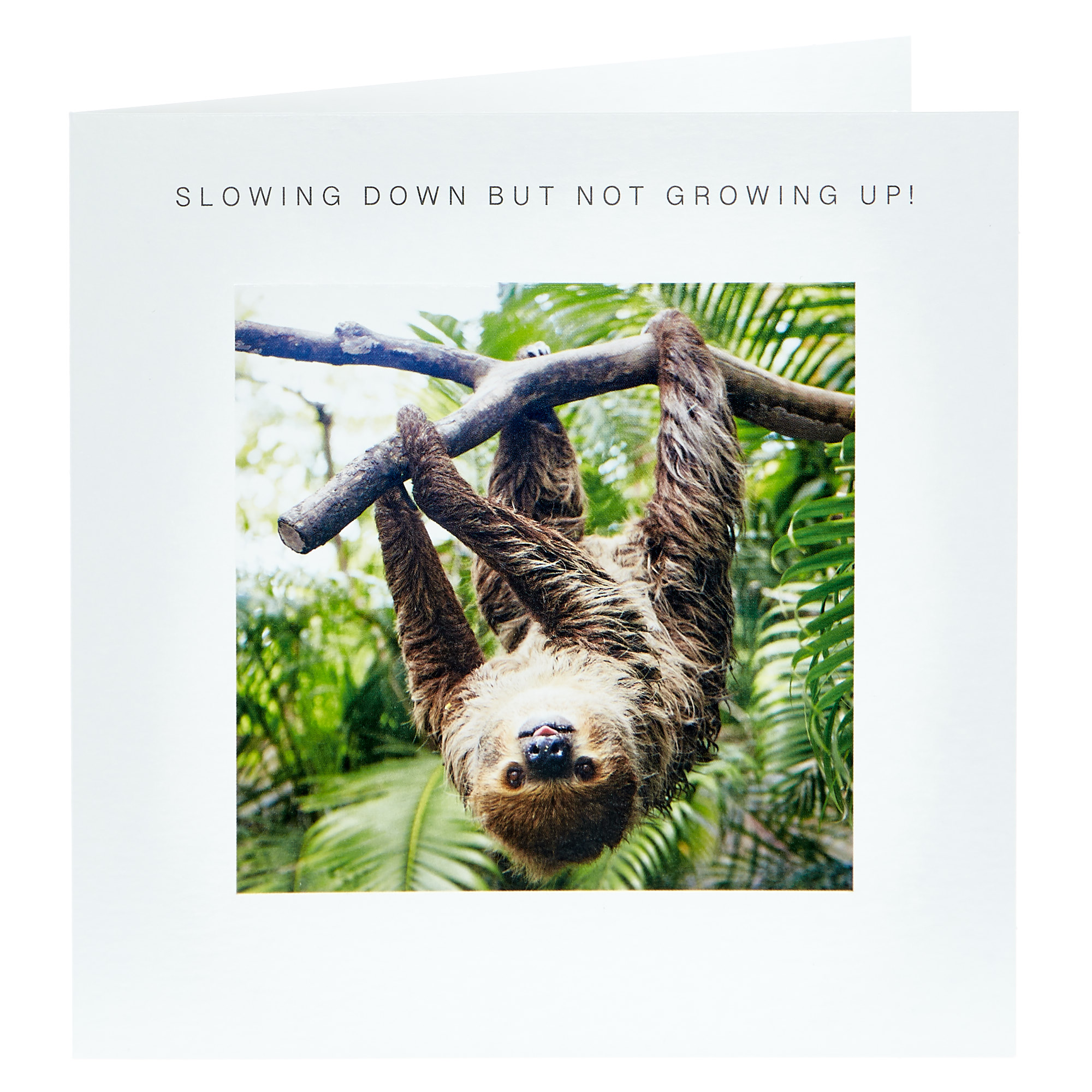 Birthday Card - Slowing Down Sloth