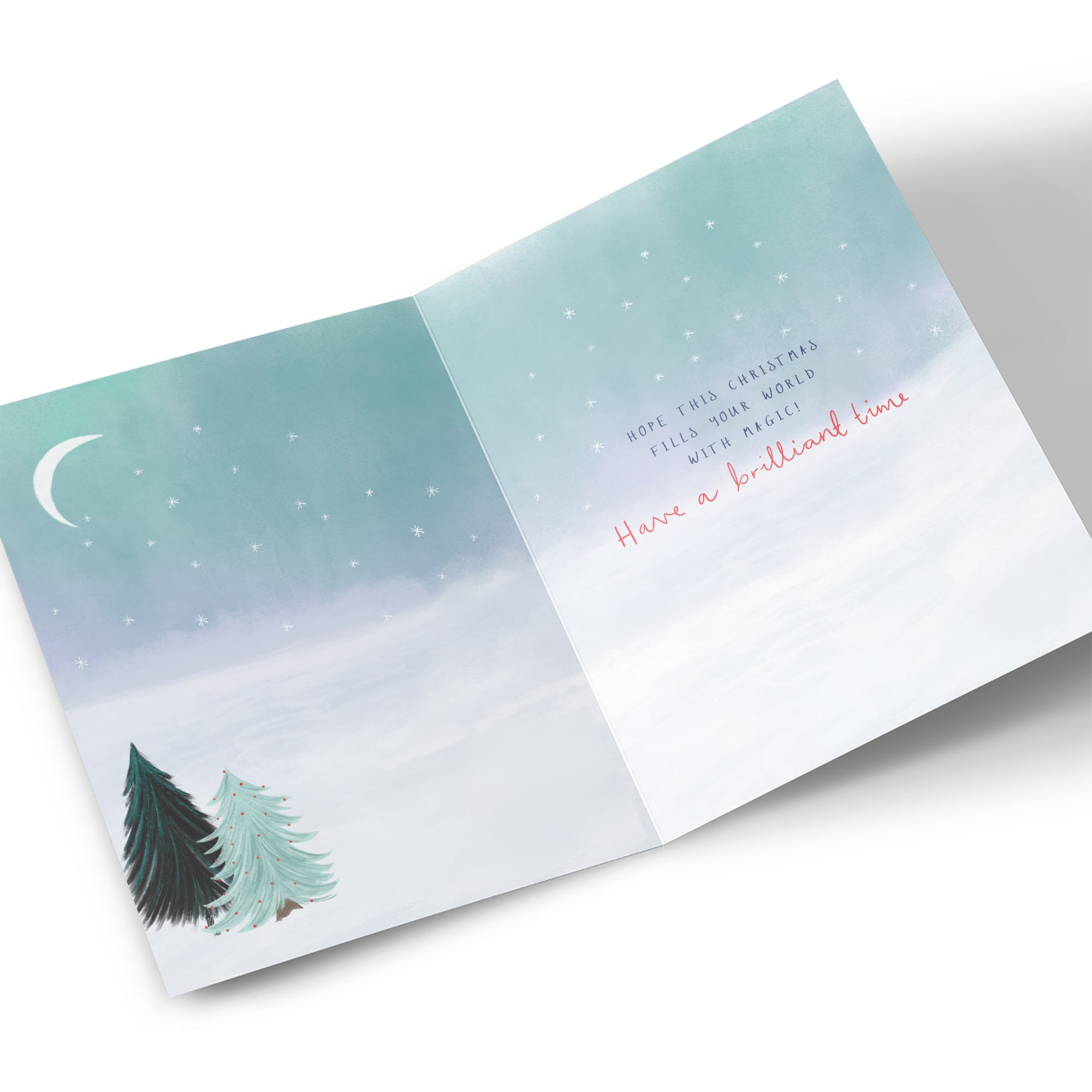 Christmas Card - Winter Penguin Snowglobe, Brother