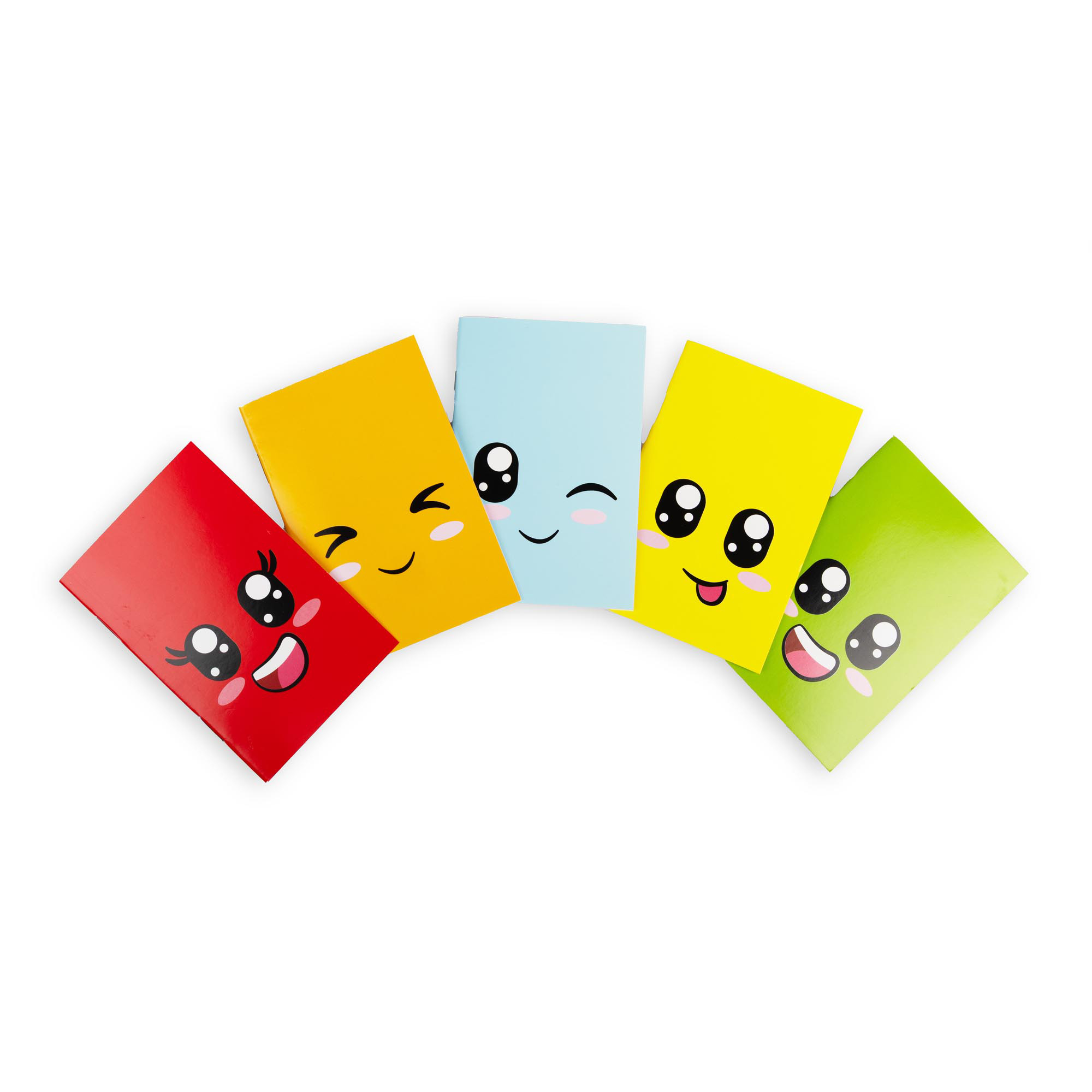 Mini Notebooks - Pack of 5