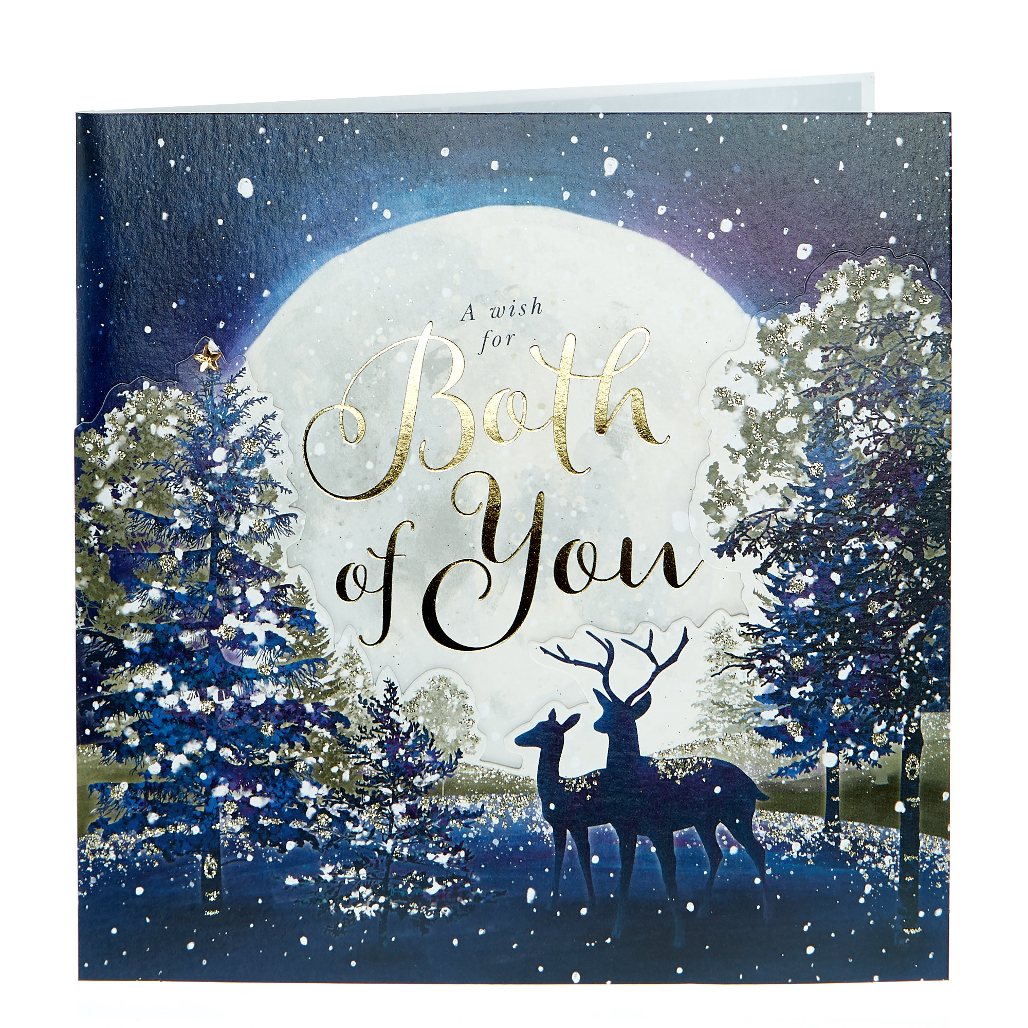 Exquisite Collection Christmas Card - A Wish For Both of You