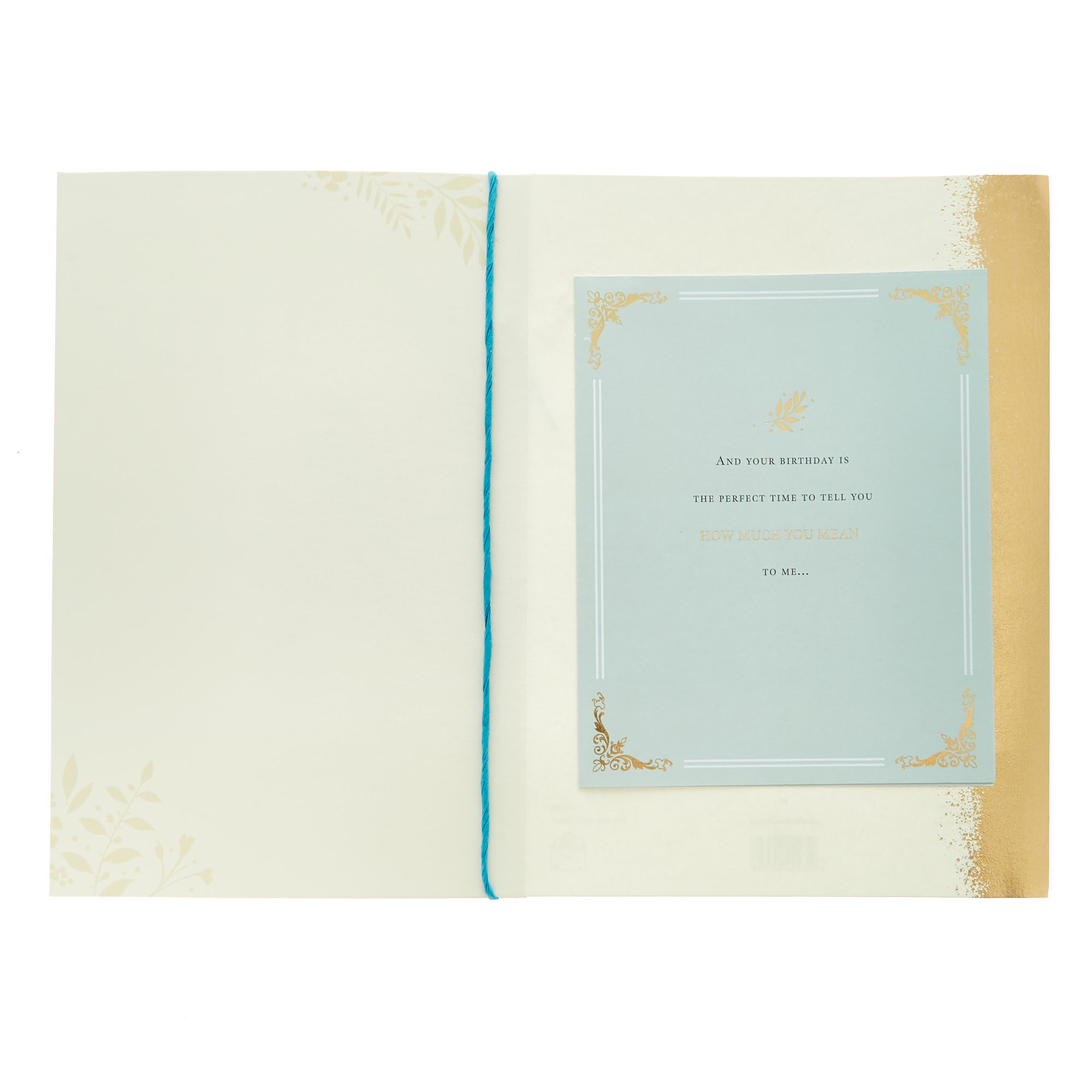 Special Dad Kingfisher Birthday Card