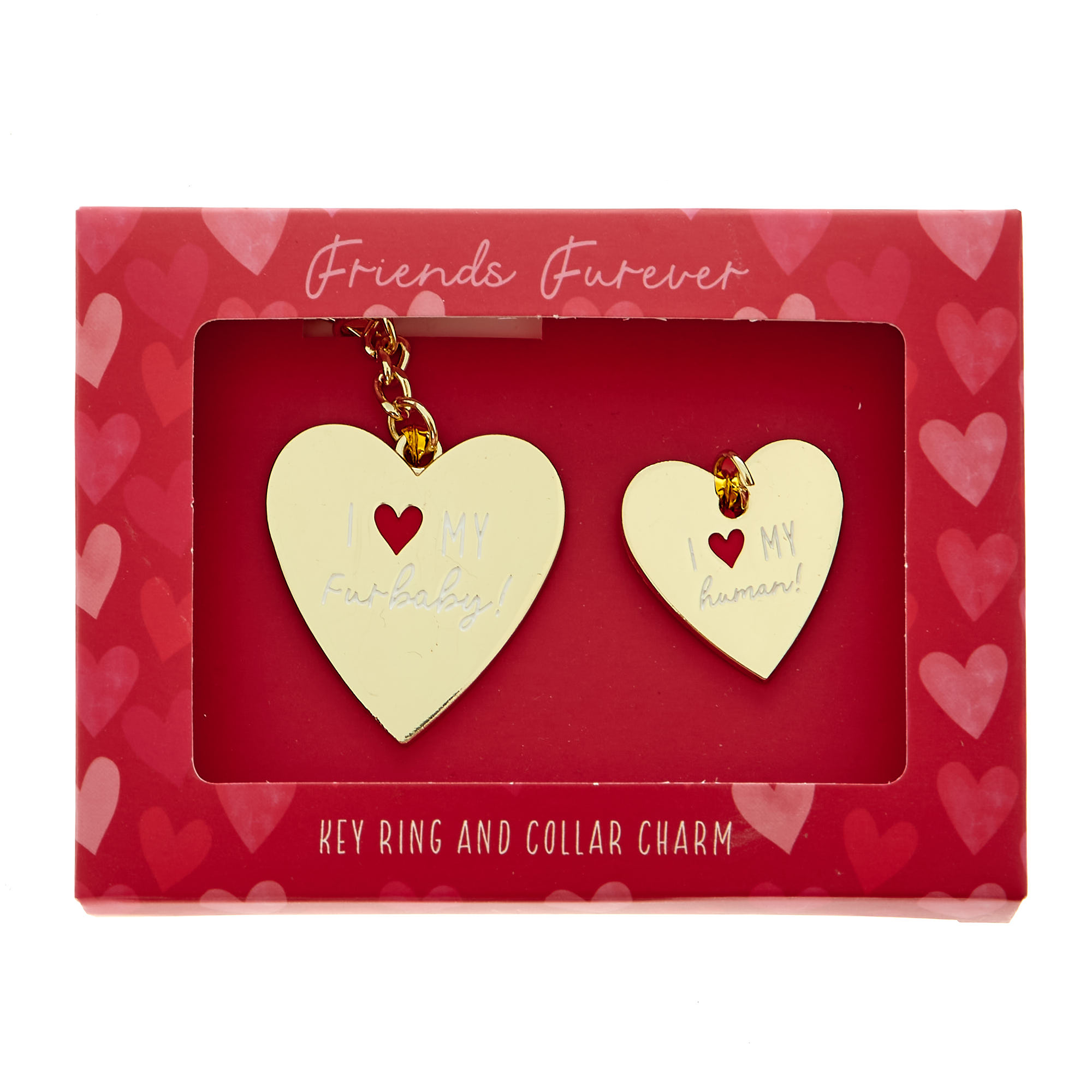 Keyring & Pet Collar Charm Gift Set