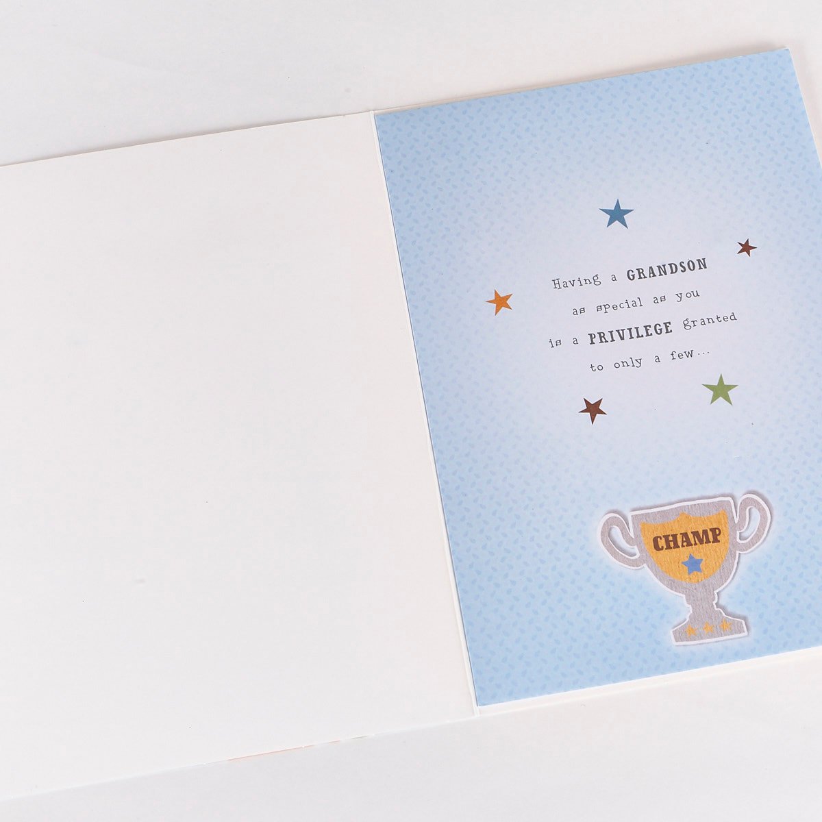 Signature Collection Birthday Card - Grandson Bear Trophy