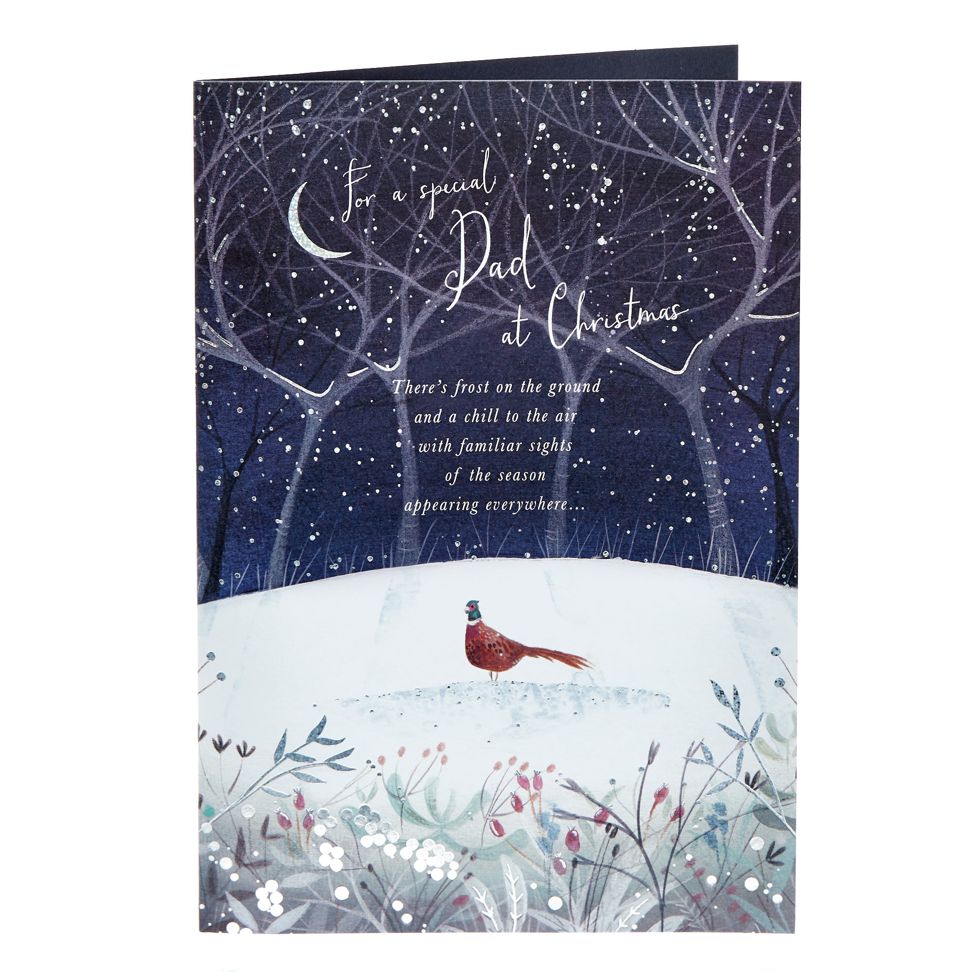 Dad Night Winter Scene Christmas Card