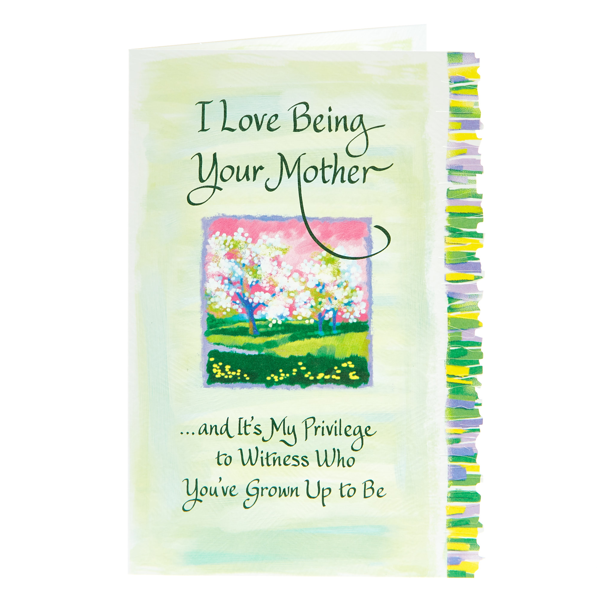 Blue Mountain Arts Card - I Love Being Your Mother