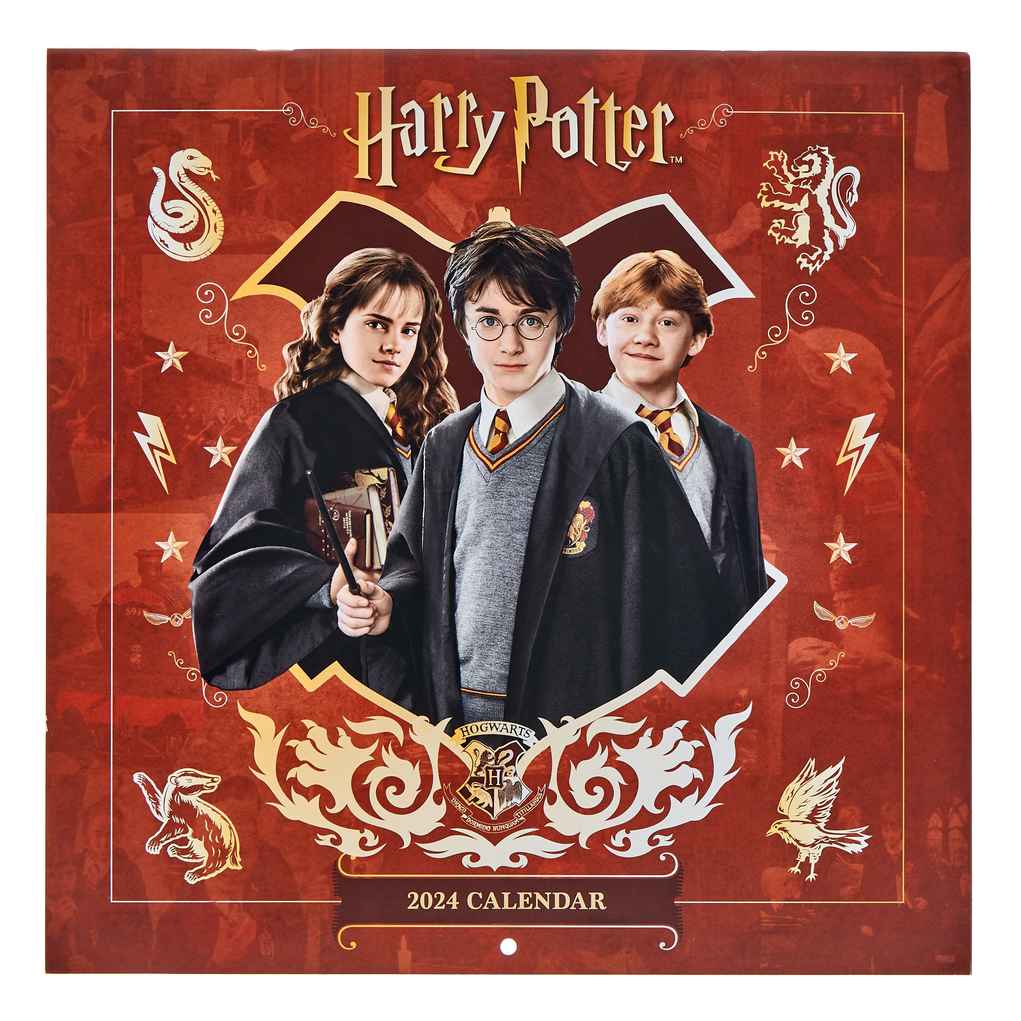 Buy Harry Potter 2025 Square Calendar for GBP 4.99 Card Factory UK