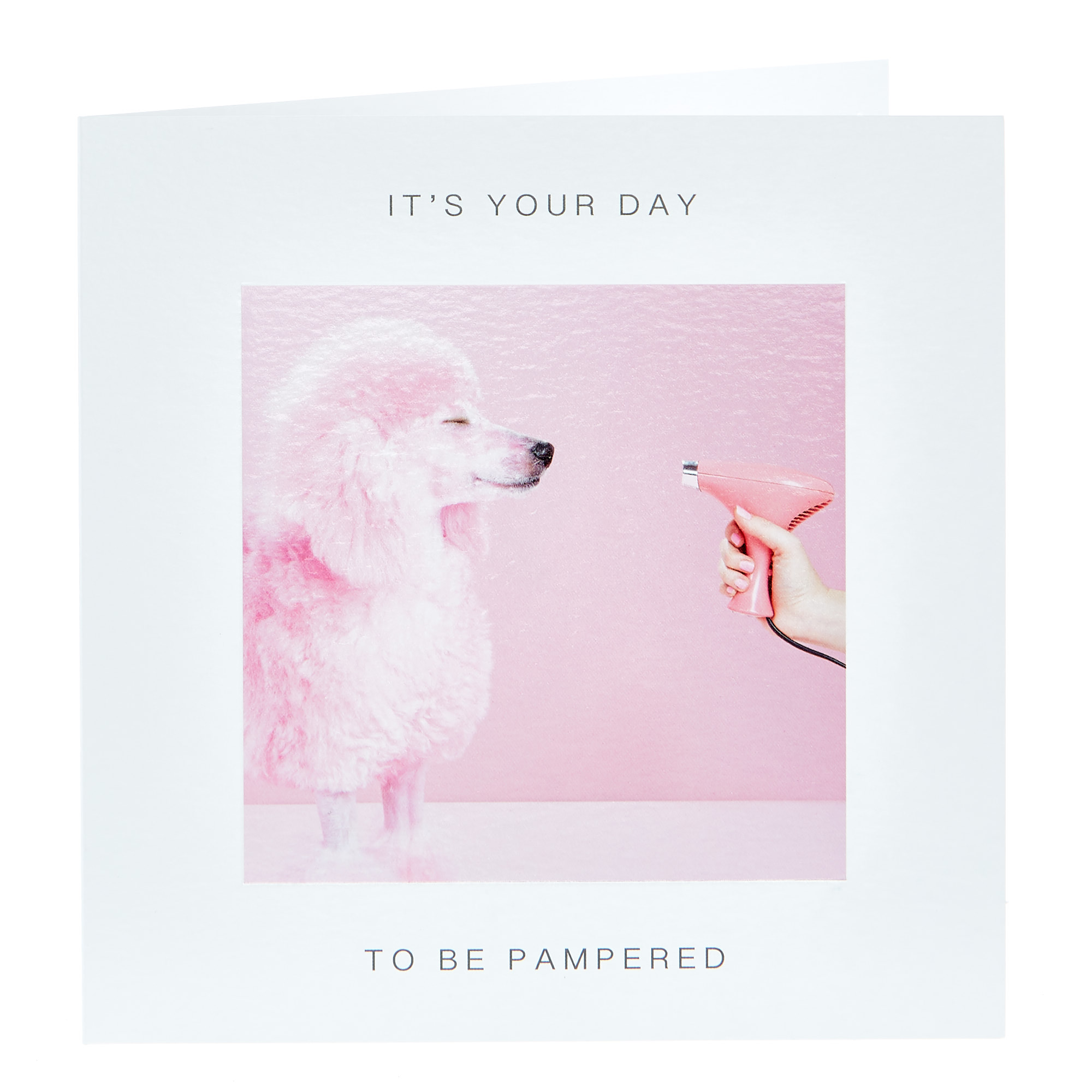 Birthday Card - It's Your Day