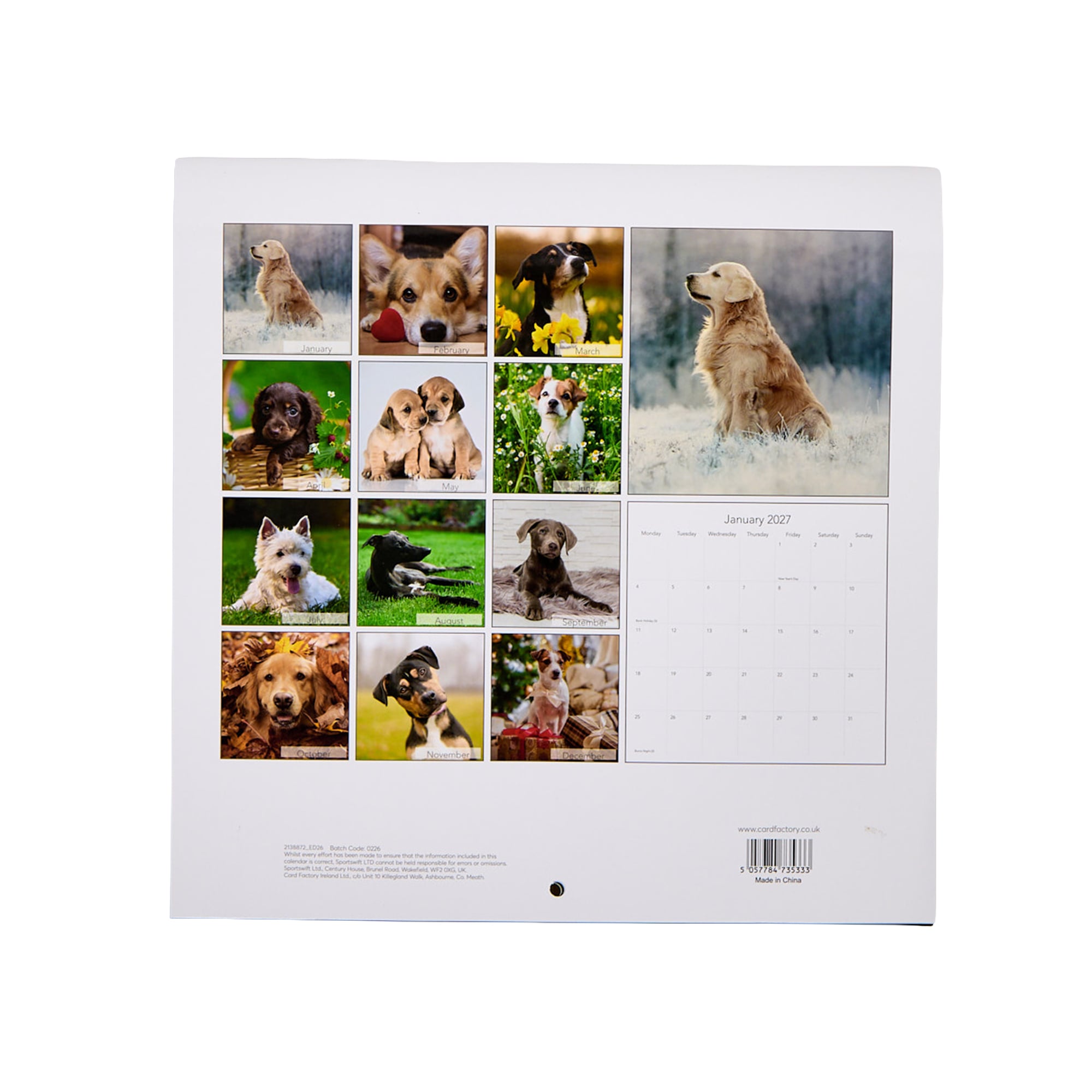 Dogs & Puppies 2027 Square Wall Calendar 