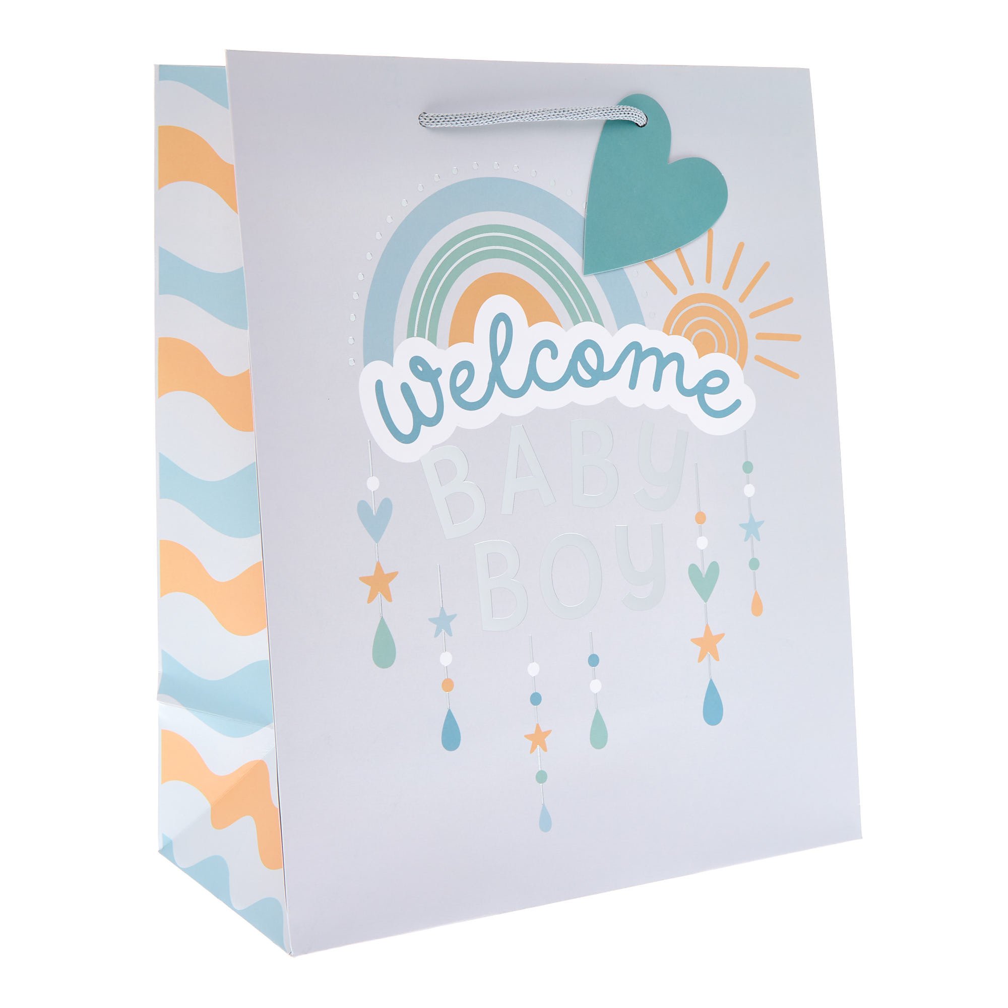 Baby Boy Large Portrait Gift Bag