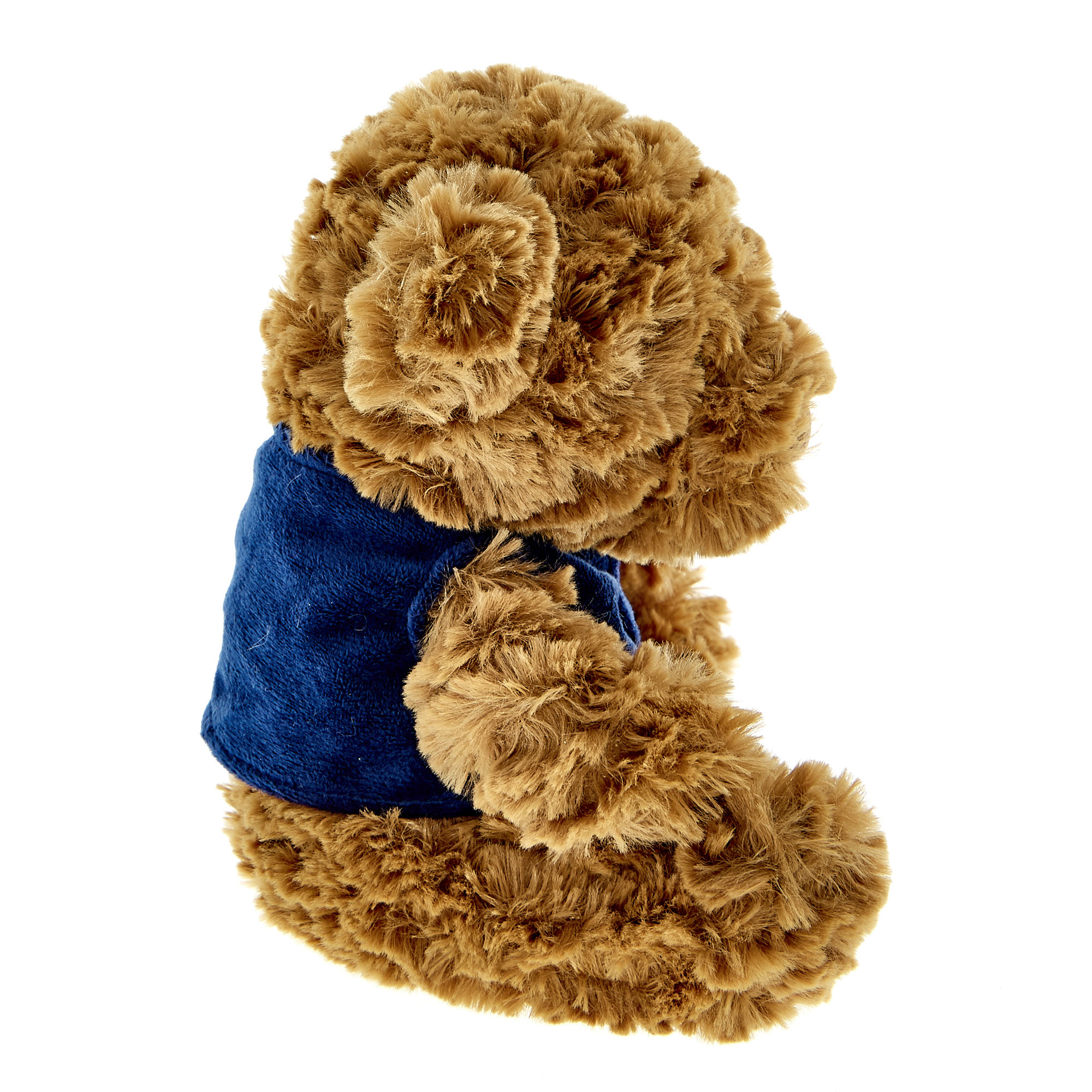 Daddy Bear Soft Toy