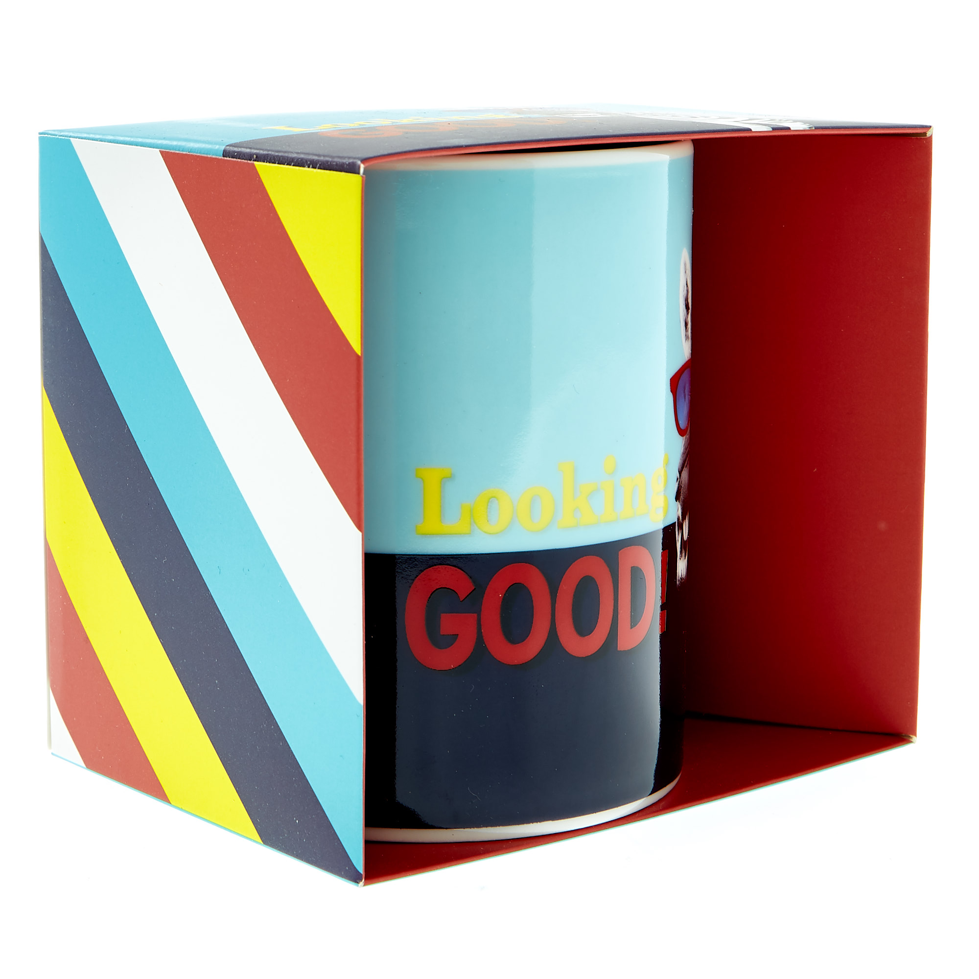 Looking Good Zebra Mug