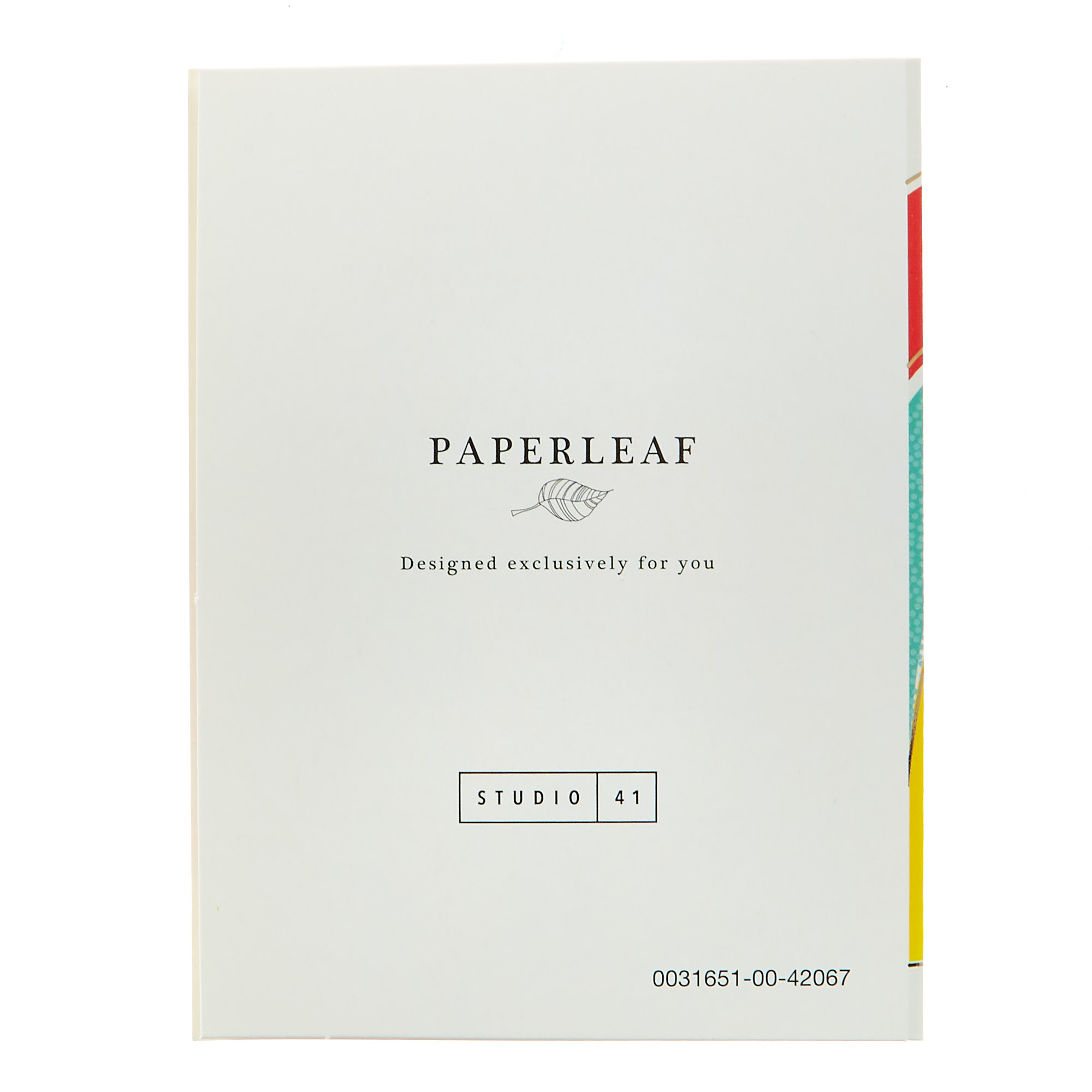 Rainbow Thank You Cards - Pack Of 12