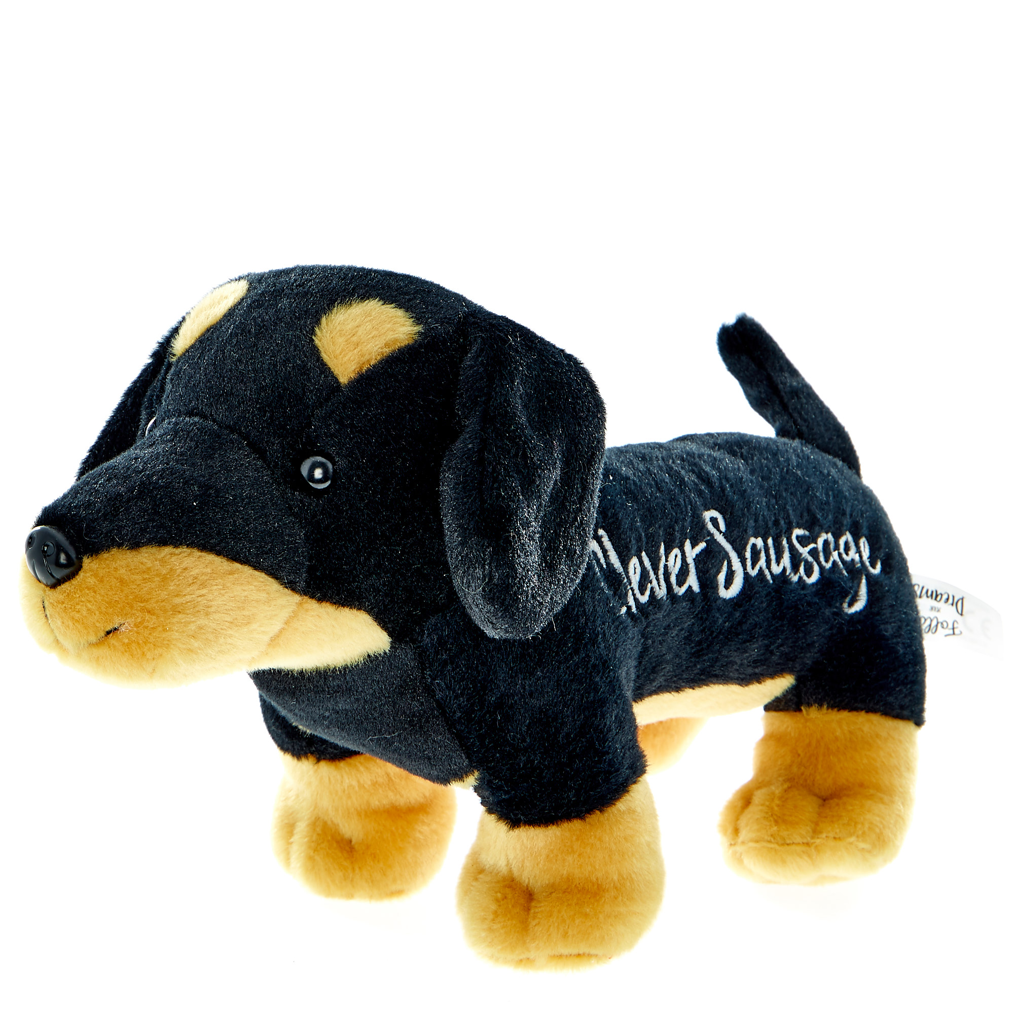 Graduation Clever Sausage Dog Plush