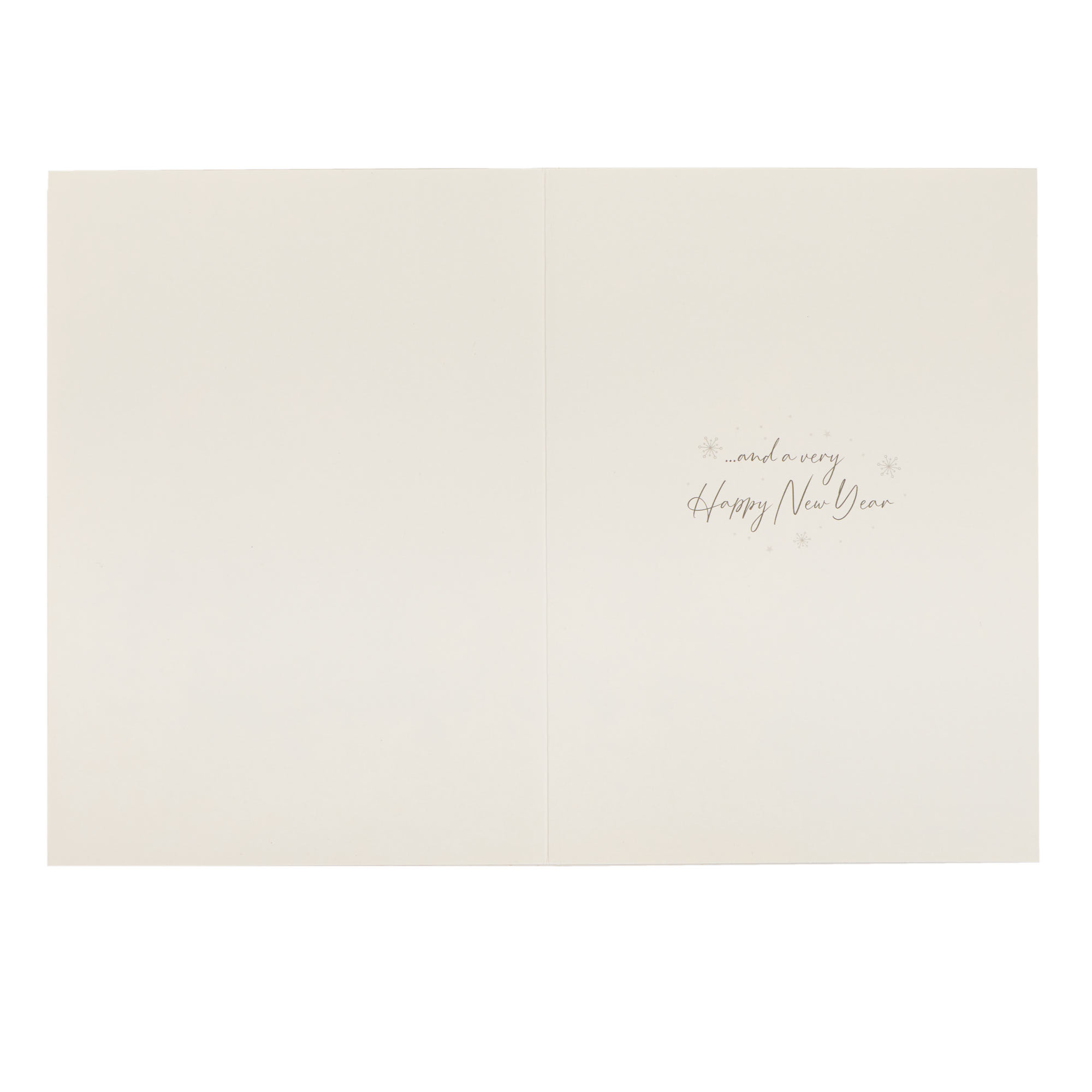 10 Portrait Santa Charity Christmas Cards