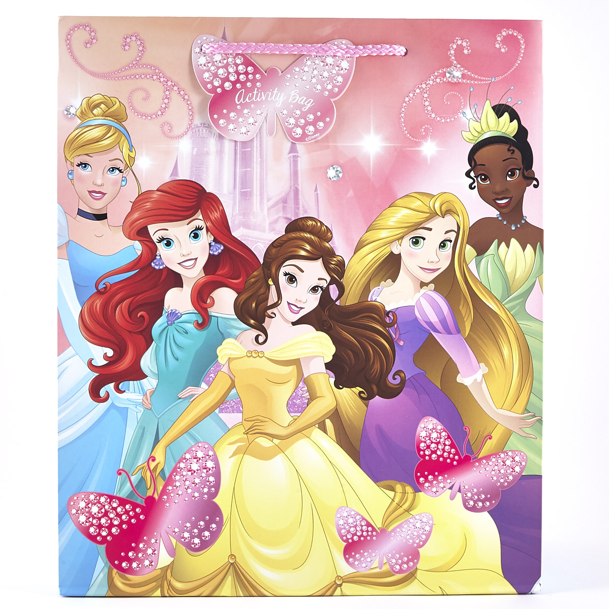 Large Portrait Disney Princess Activity Gift Bag