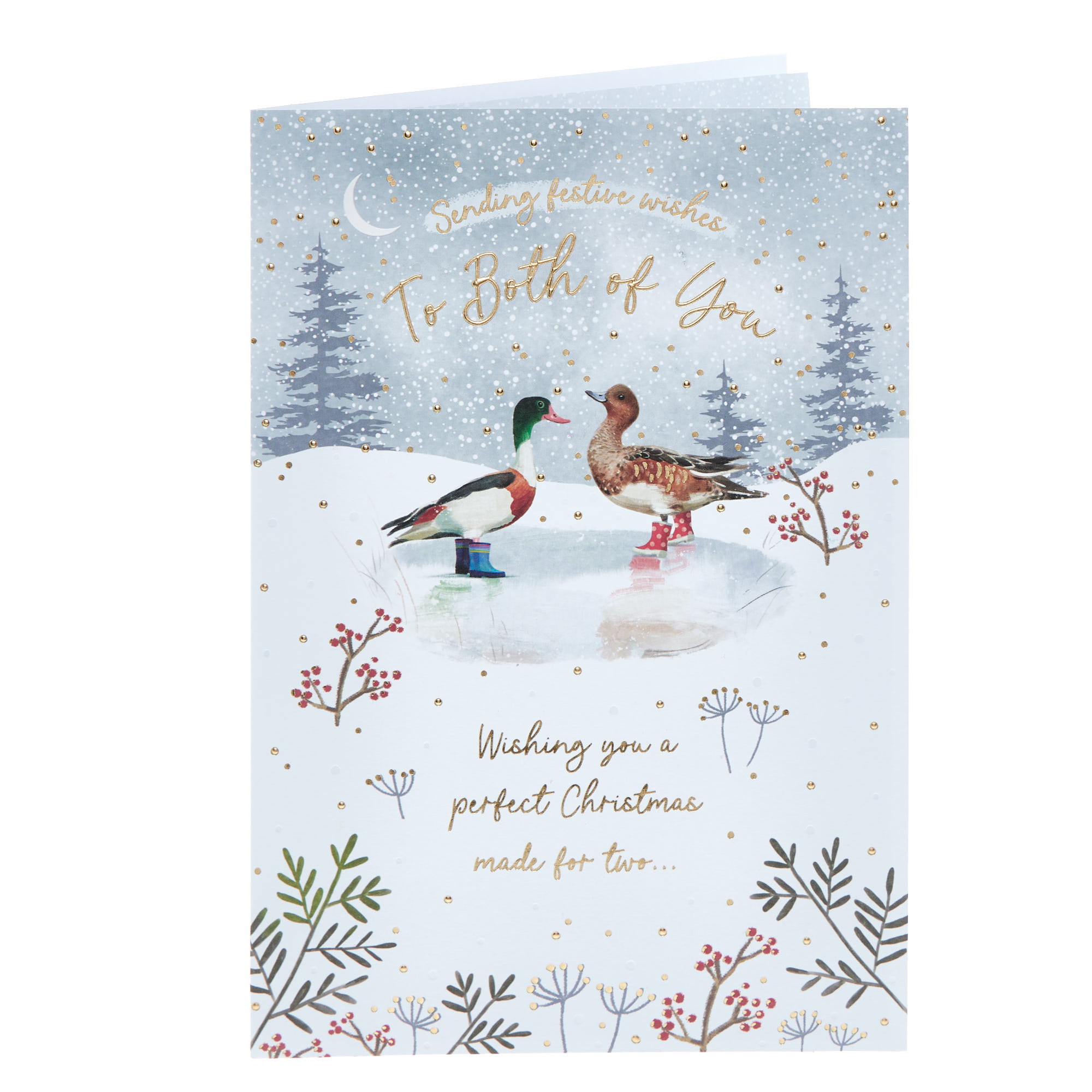 To Both Of You Duck Pond Christmas Card