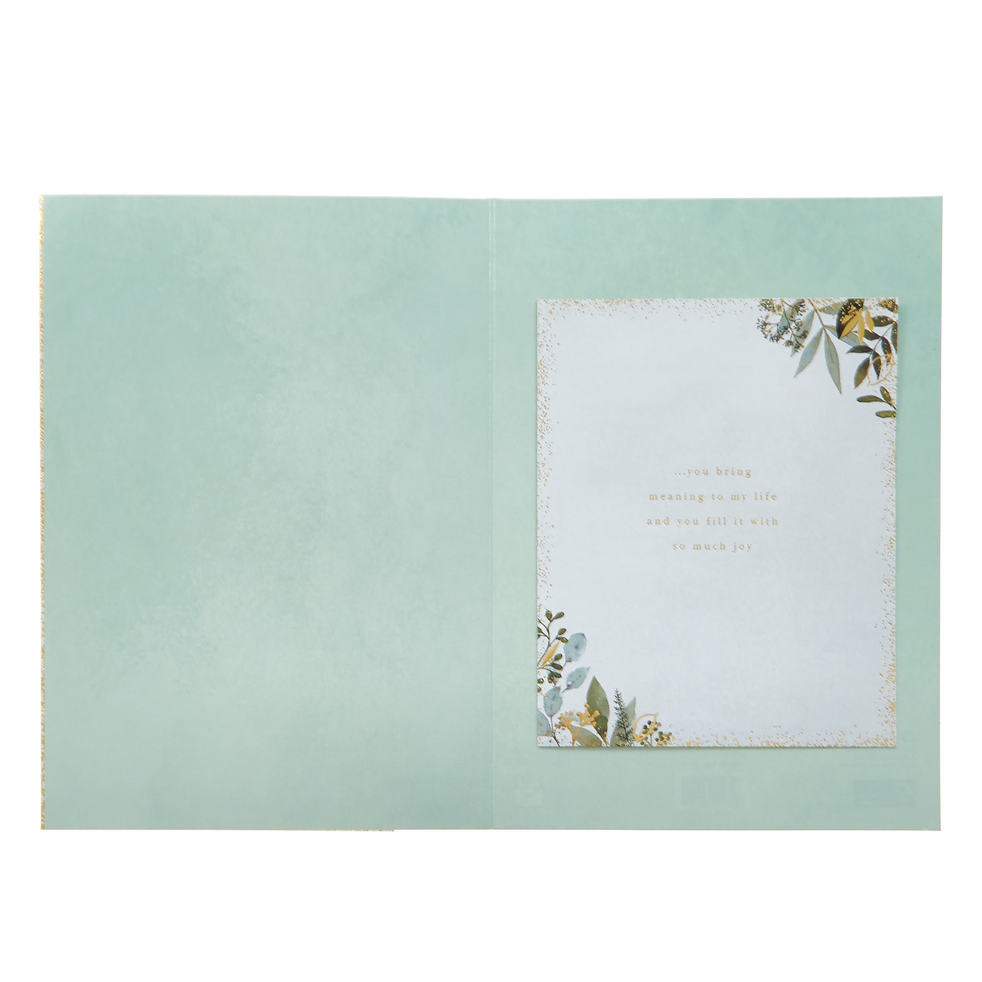 Large Premium Anniversary Card - Every Year I Love You More