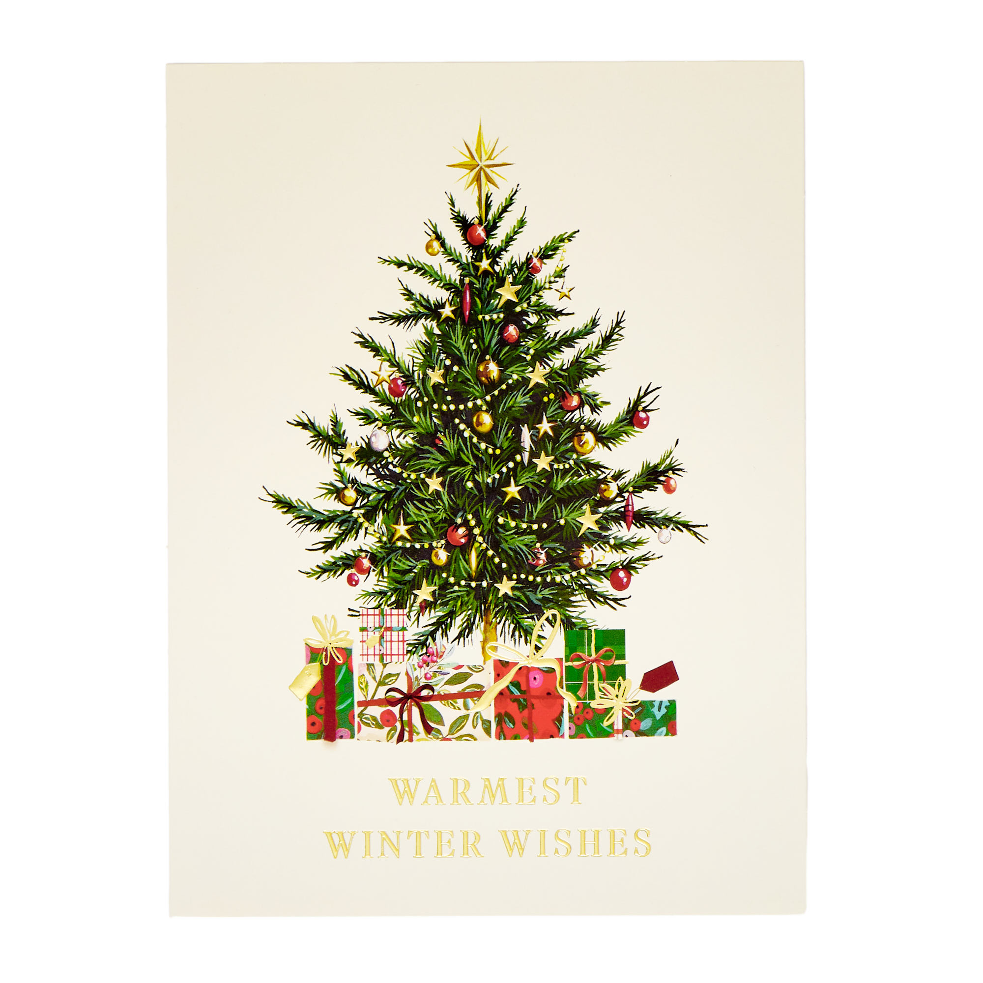 10 Deluxe Sleigh Charity Christmas Cards - 2 Designs