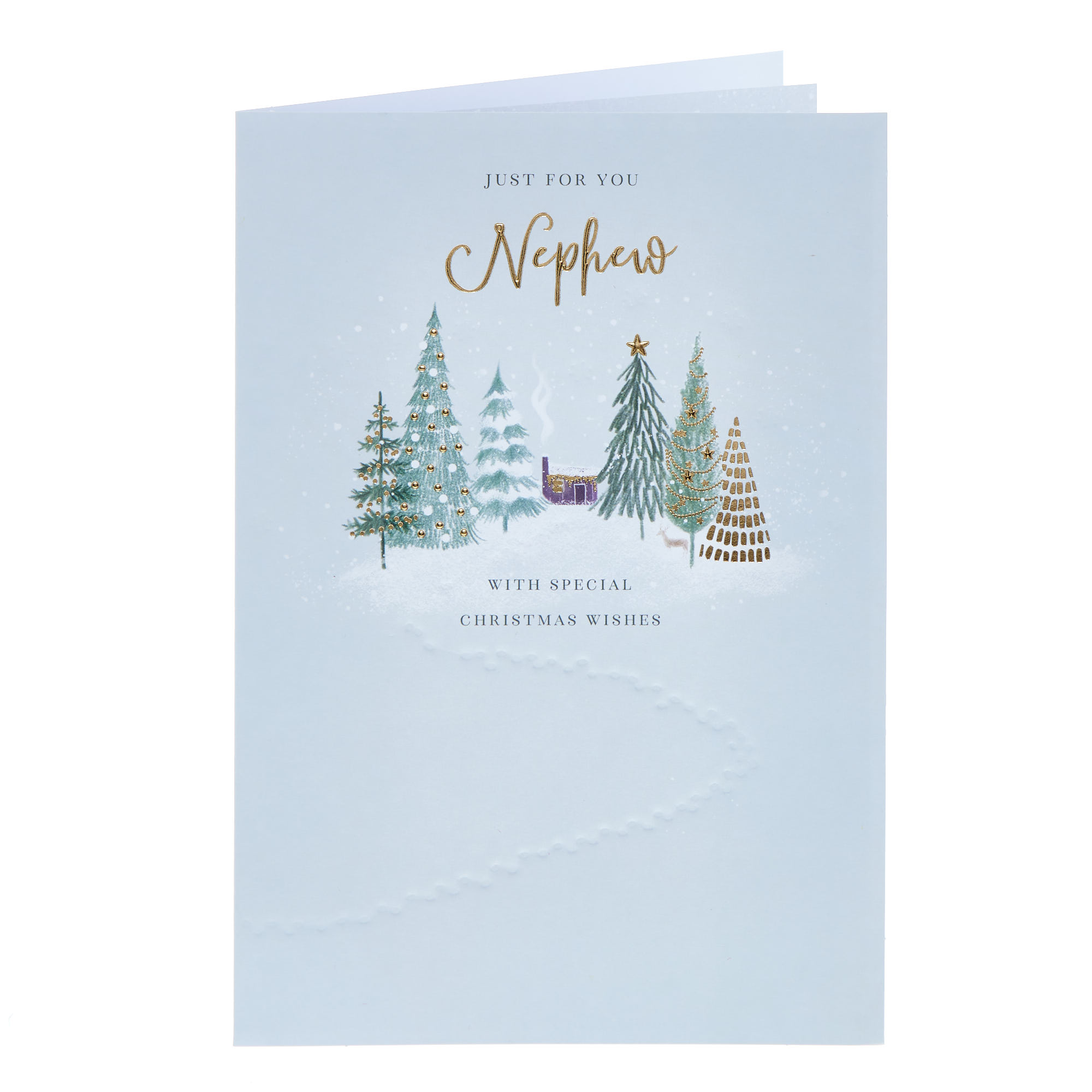 Nephew Special Wishes Trees Christmas Card