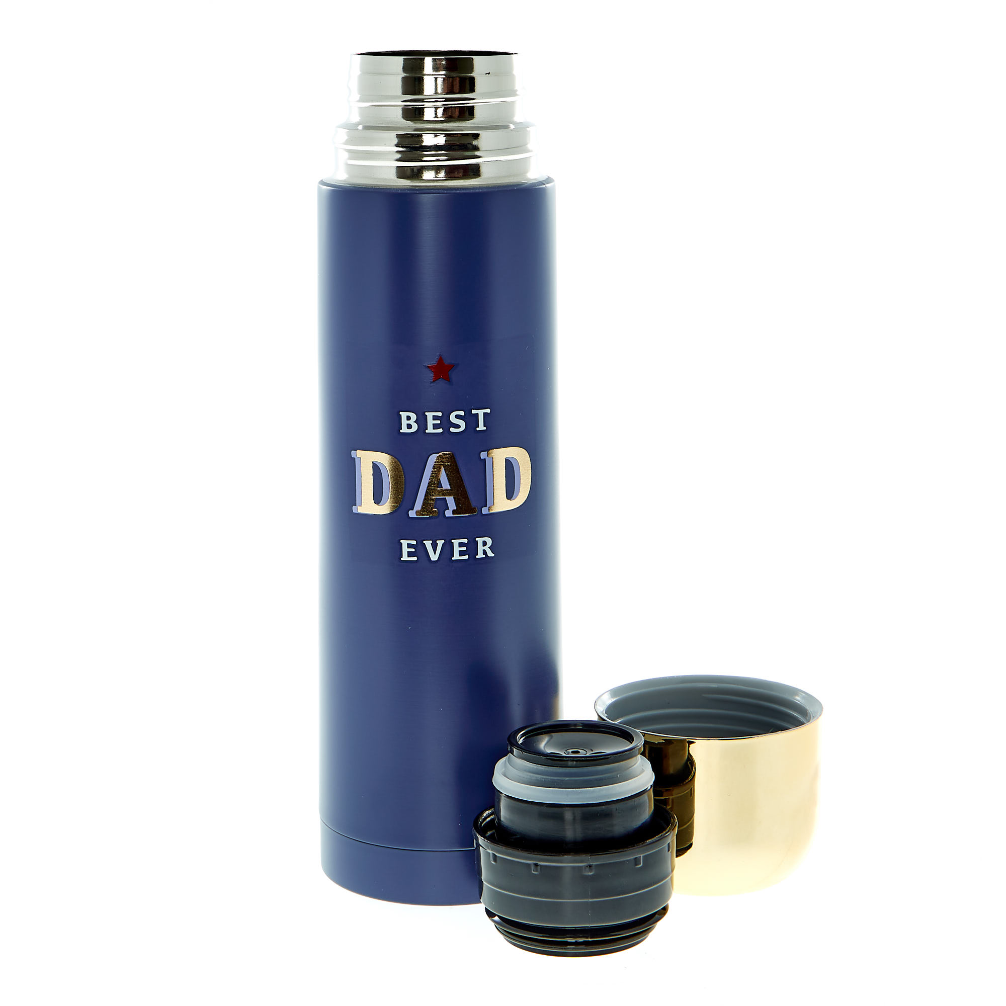 Best Dad Ever Travel Flask