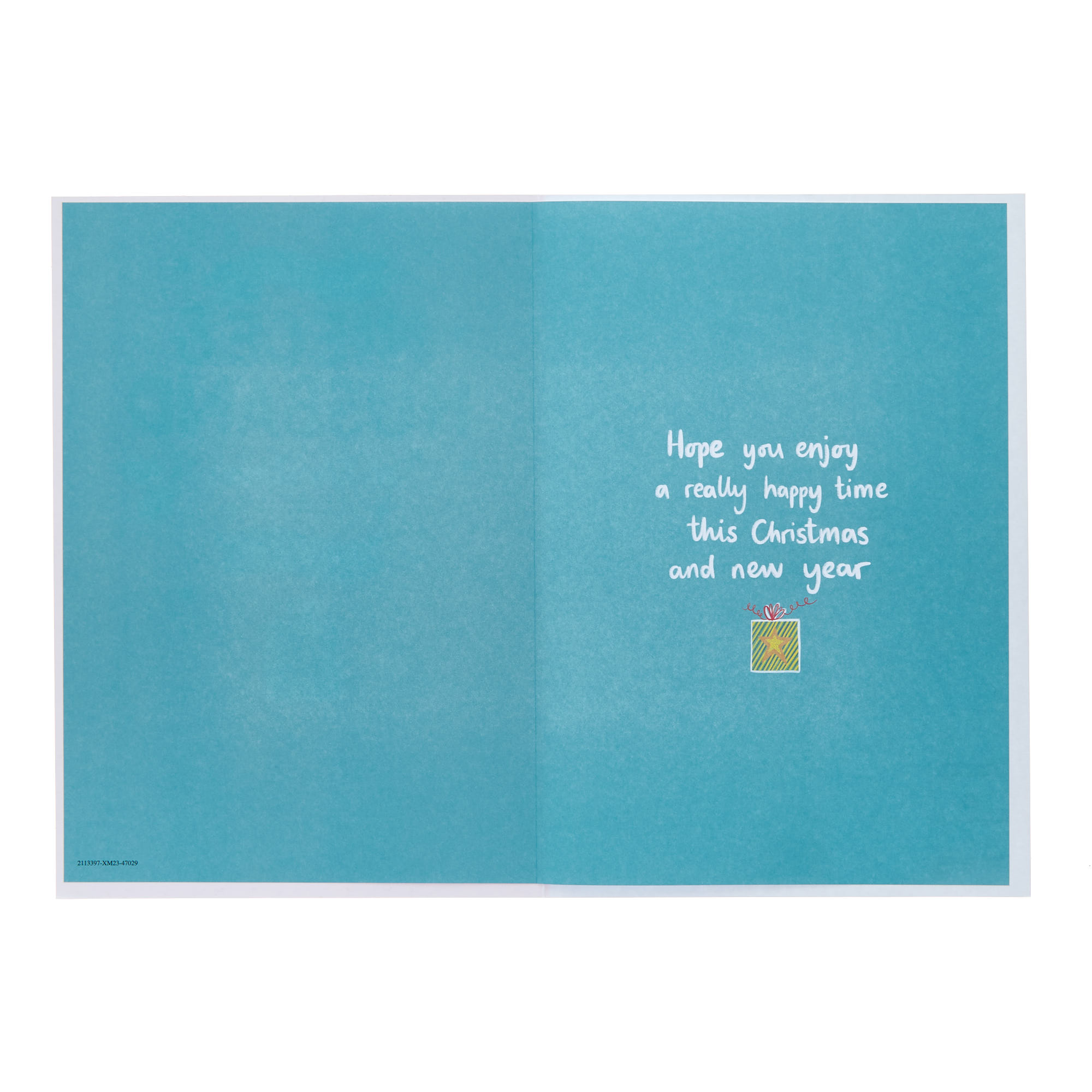 Niece & Husband Have Fun Christmas Card