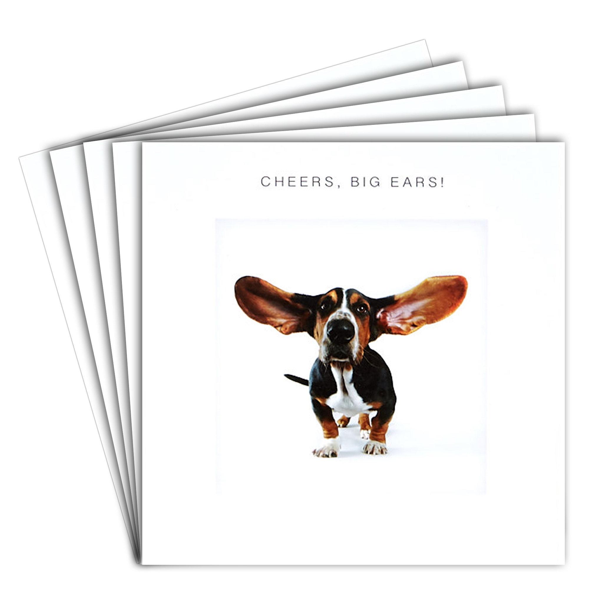 12 Blank Thank You Cards - Cheers Big Ears