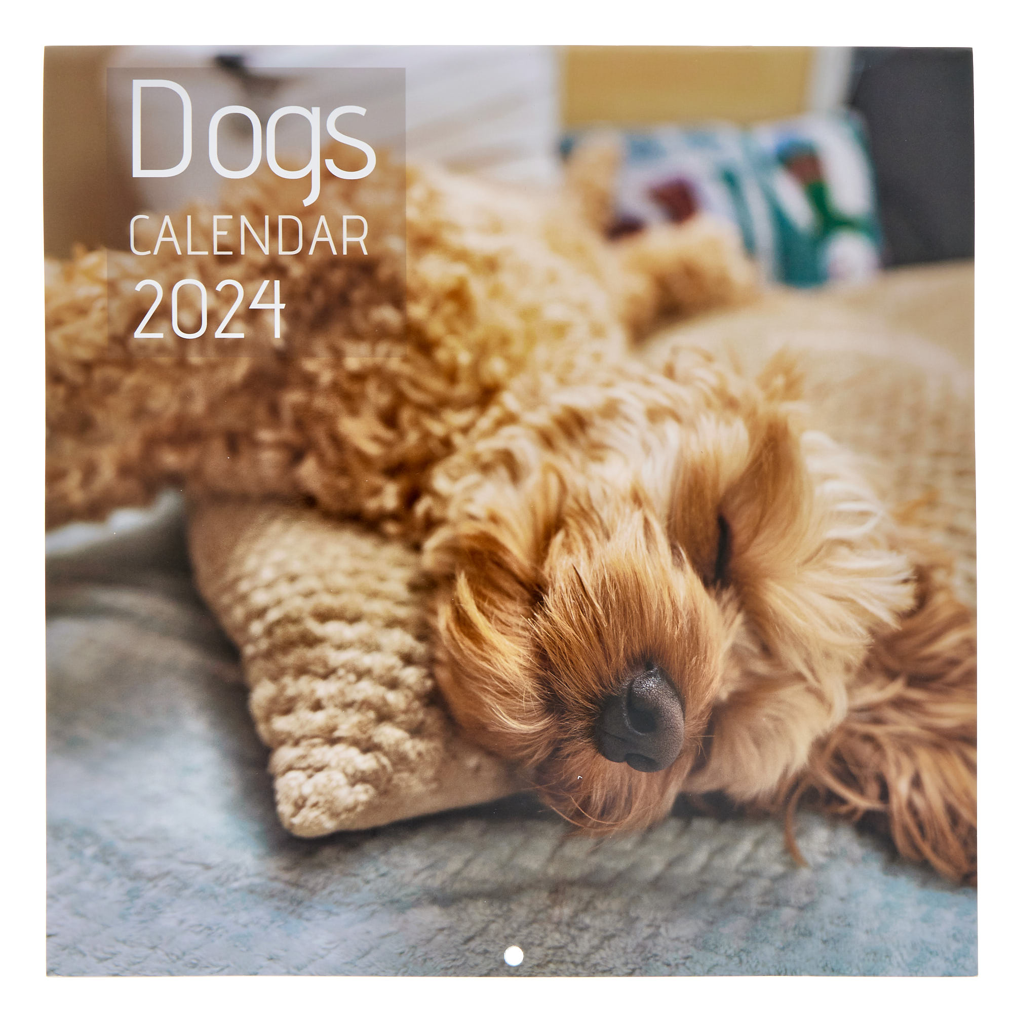 Buy Dogs 2024 Square Calendar for GBP 2.99 Card Factory UK