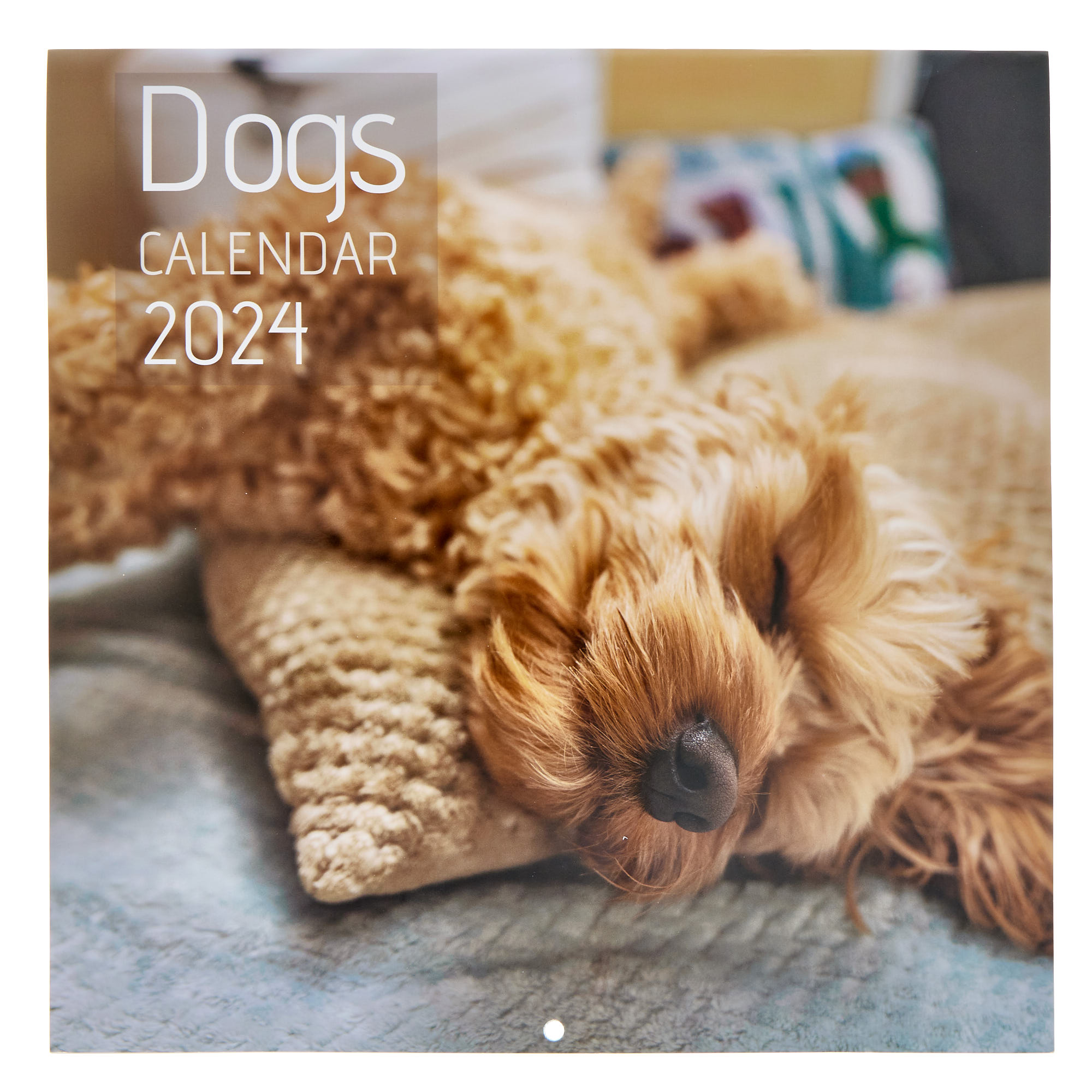 Buy Dogs 2025 Square Calendar for GBP 2.99 Card Factory UK