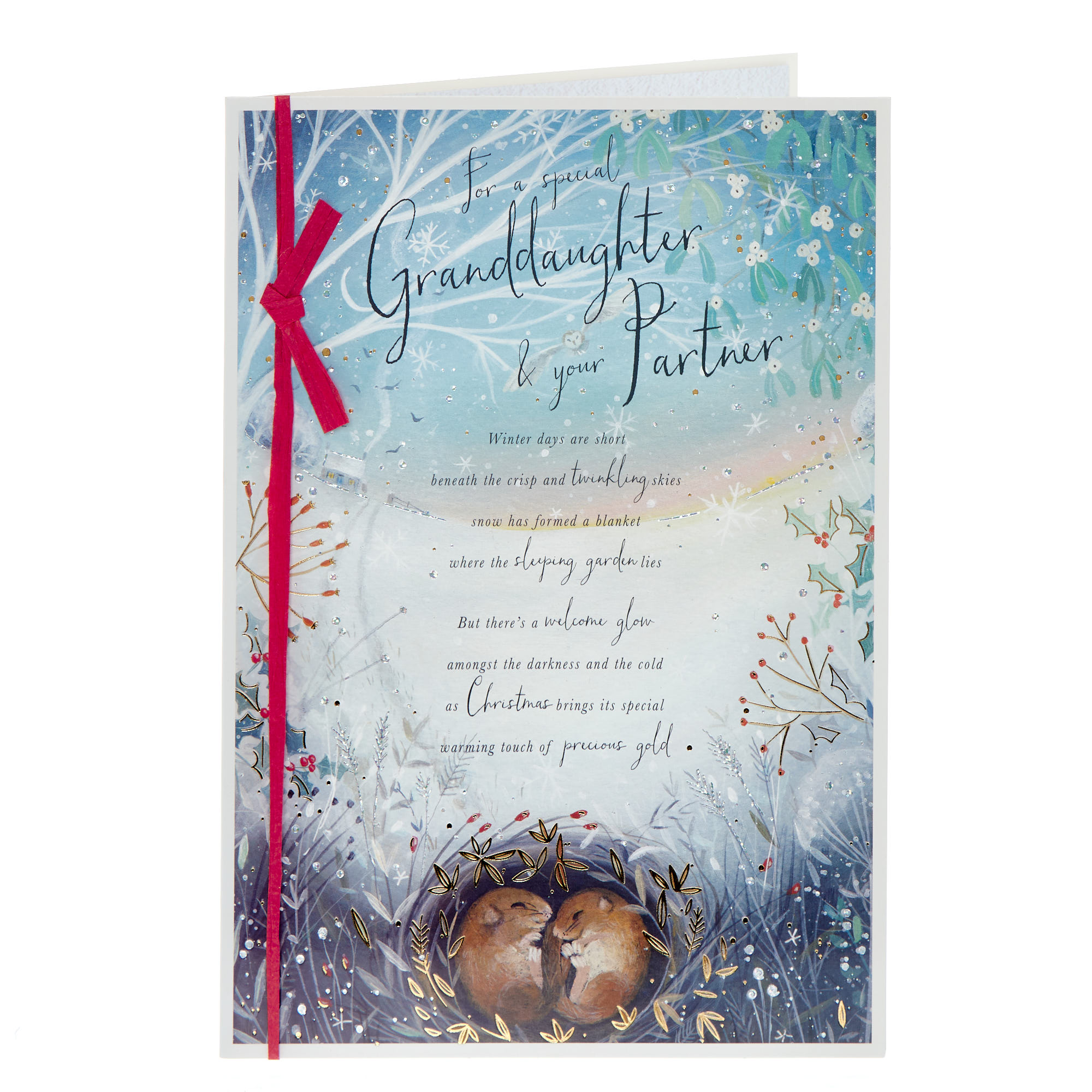 Granddaughter & Partner Burrowing Mice Christmas Card