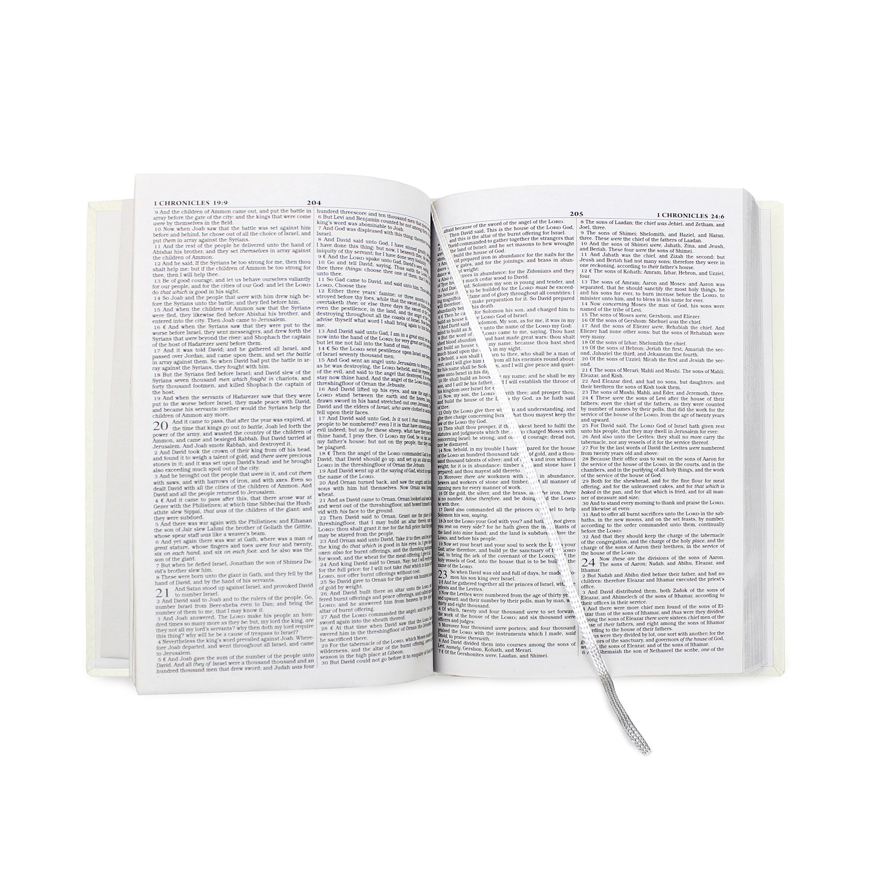 Personalised Silver Companion Eco-friendly Bible