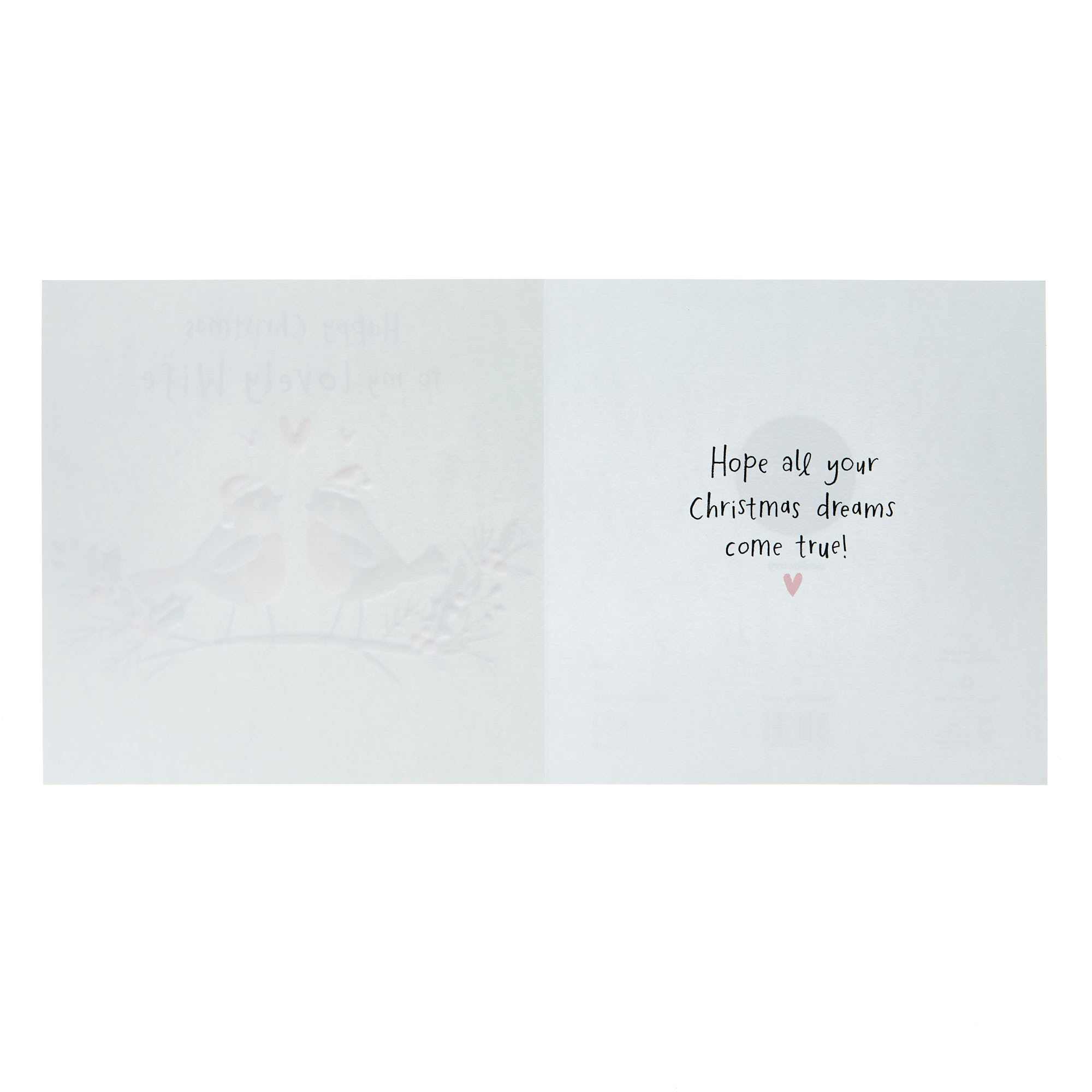 Lovely Wife Robins In Hats Christmas Card