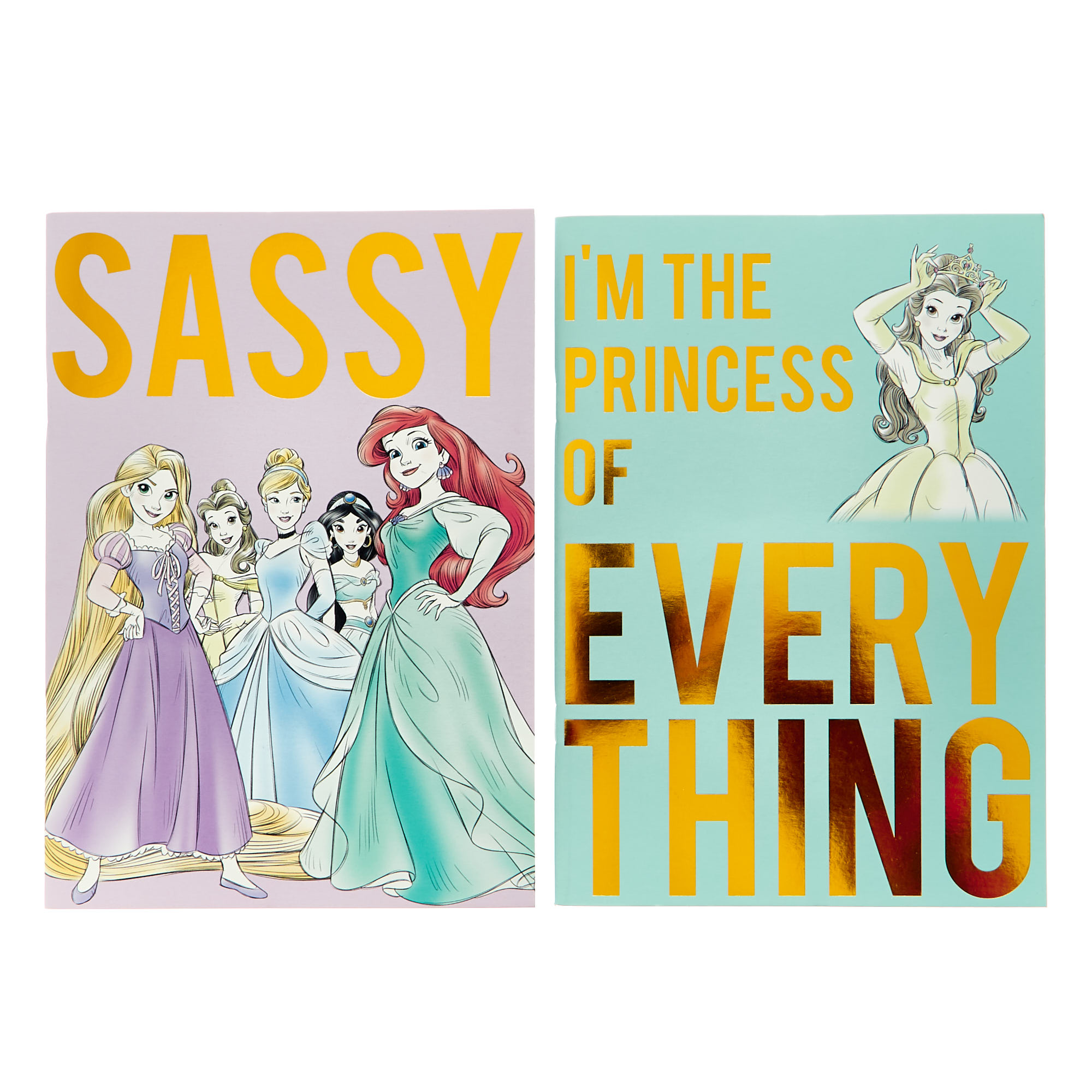 Set of 2 Disney Princess Notebooks