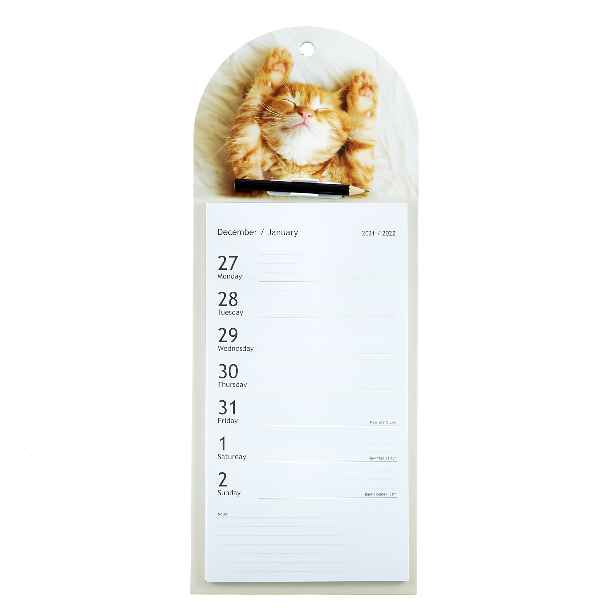 Hanging Tear-Off 2022 Cat Calendar