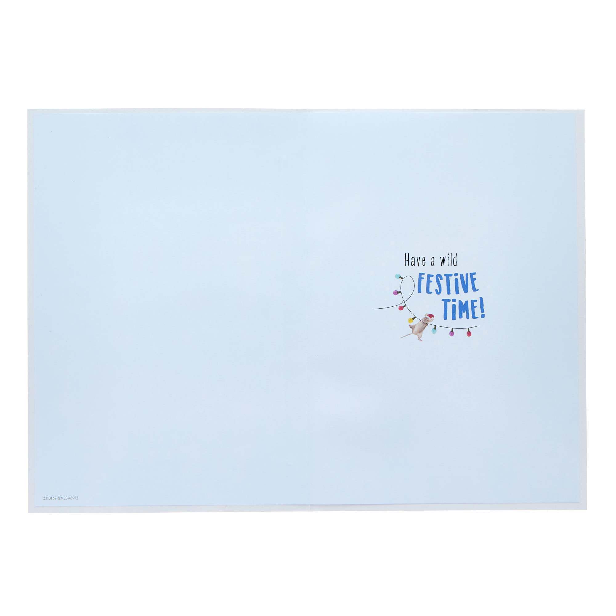 Grandson Animal Humour Christmas Card