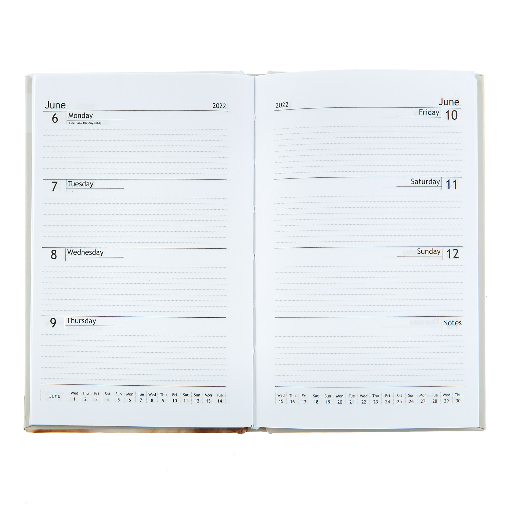 A6 2022 Pocket Diary - Cat