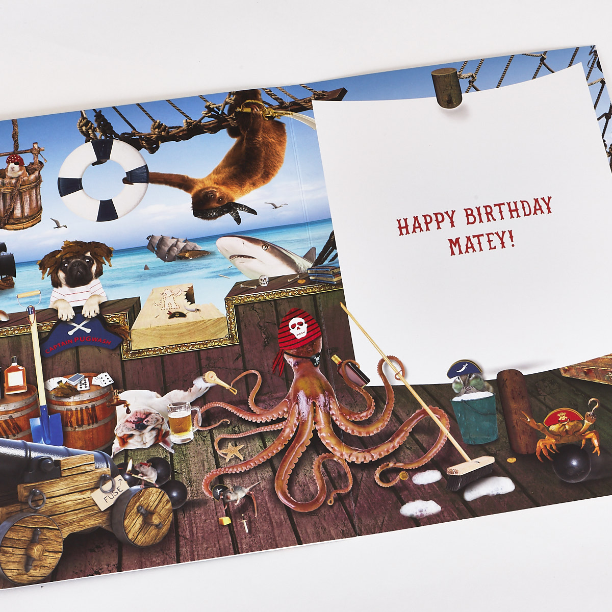 Signature Collection Birthday Card - Grandson pirate Animals
