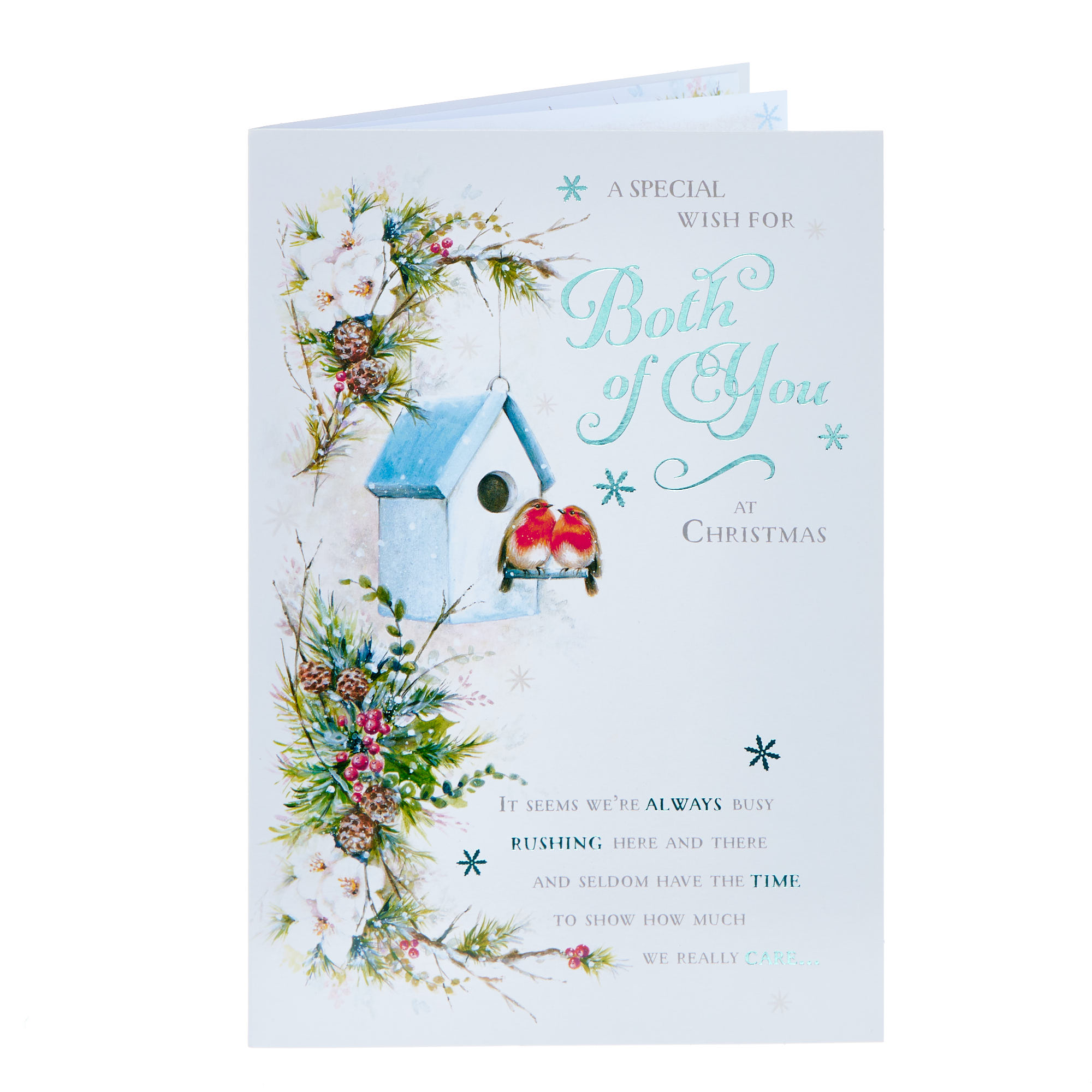 Both Of You Robins Christmas Card