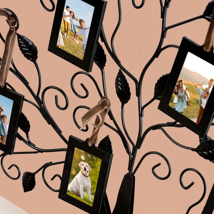 Family Tree 6 Picture Frame