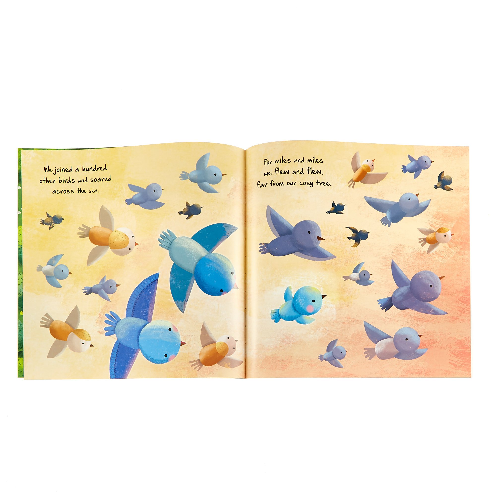 Little Chick Storybook